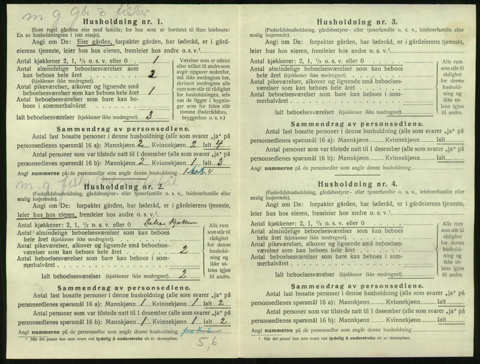 SAT, 1920 census for Herøy (MR), 1920, p. 920