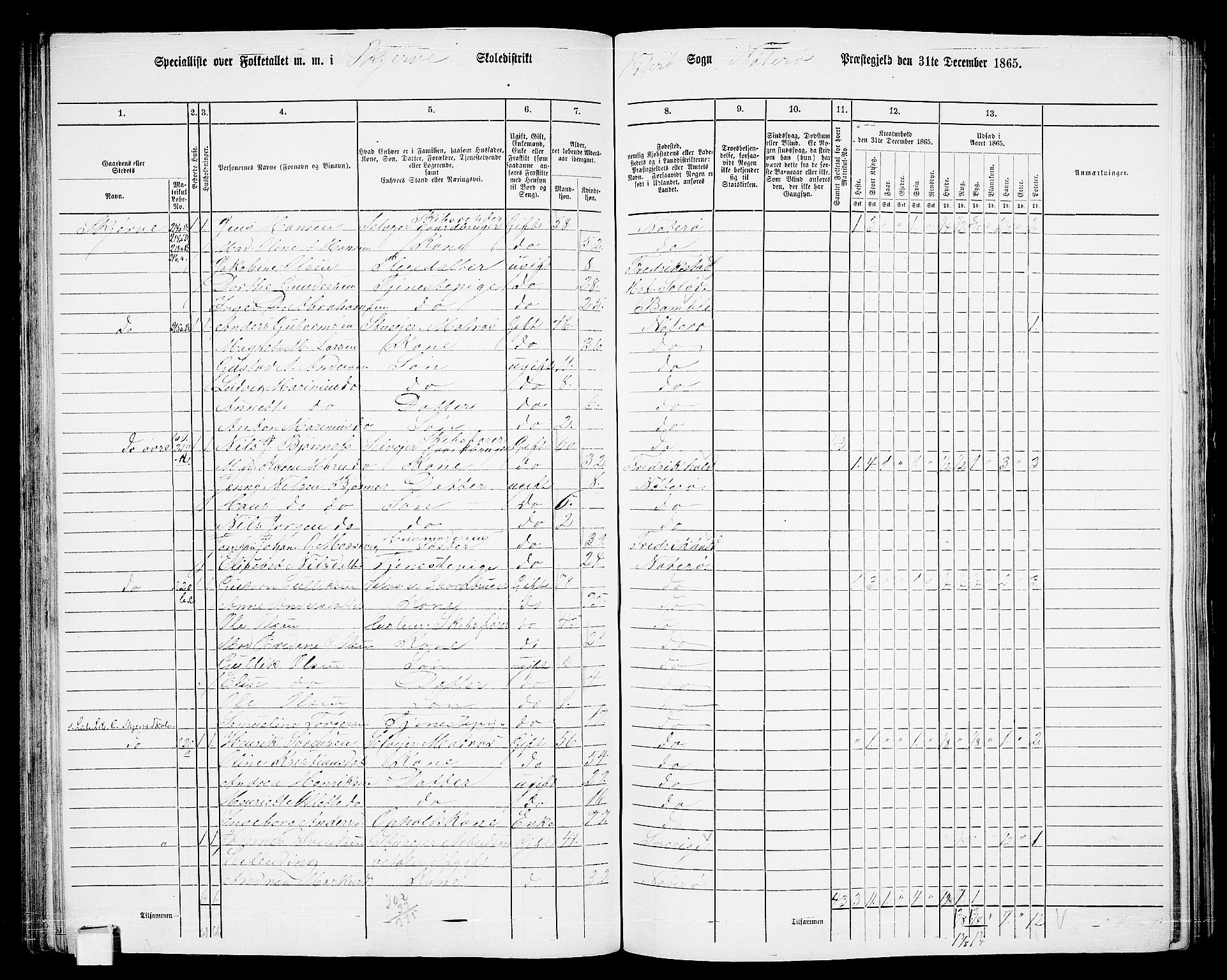 RA, 1865 census for Nøtterøy, 1865, p. 135