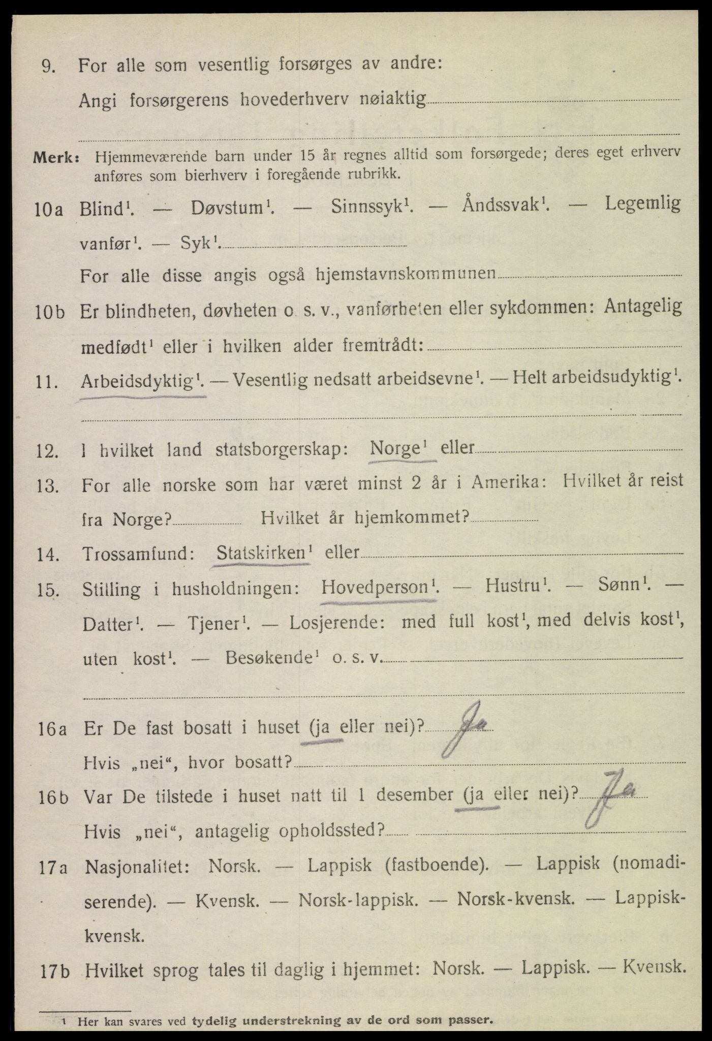 SAT, 1920 census for Fauske, 1920, p. 10095