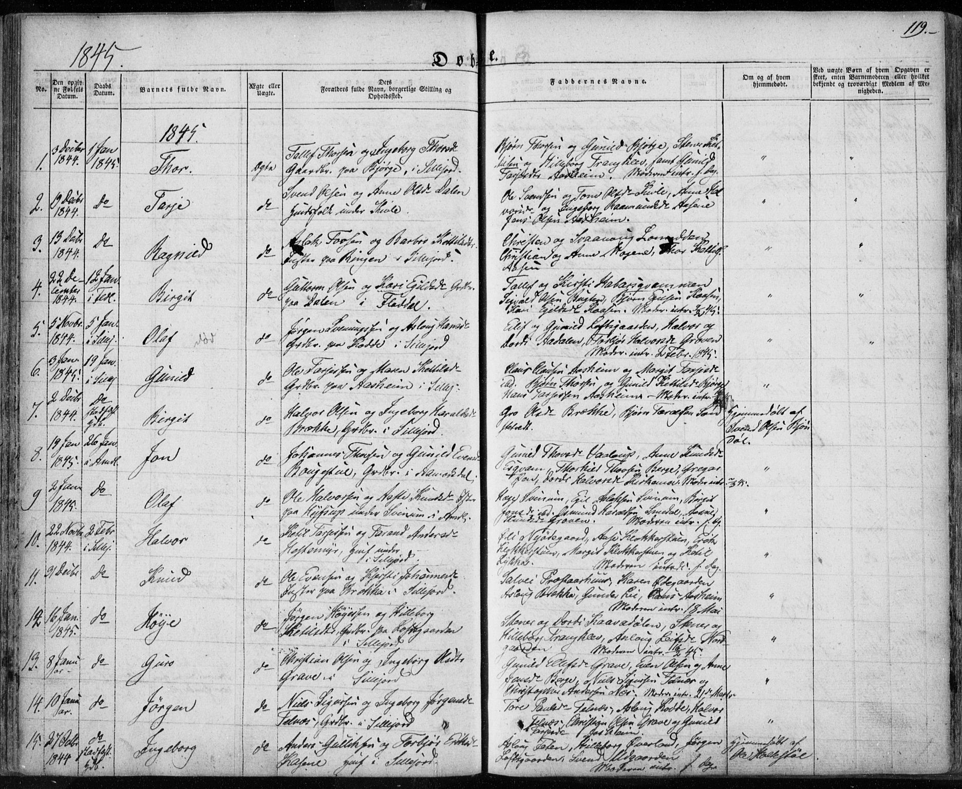 Seljord kirkebøker, SAKO/A-20/F/Fa/L0011: Parish register (official) no. I 11, 1831-1849, p. 119