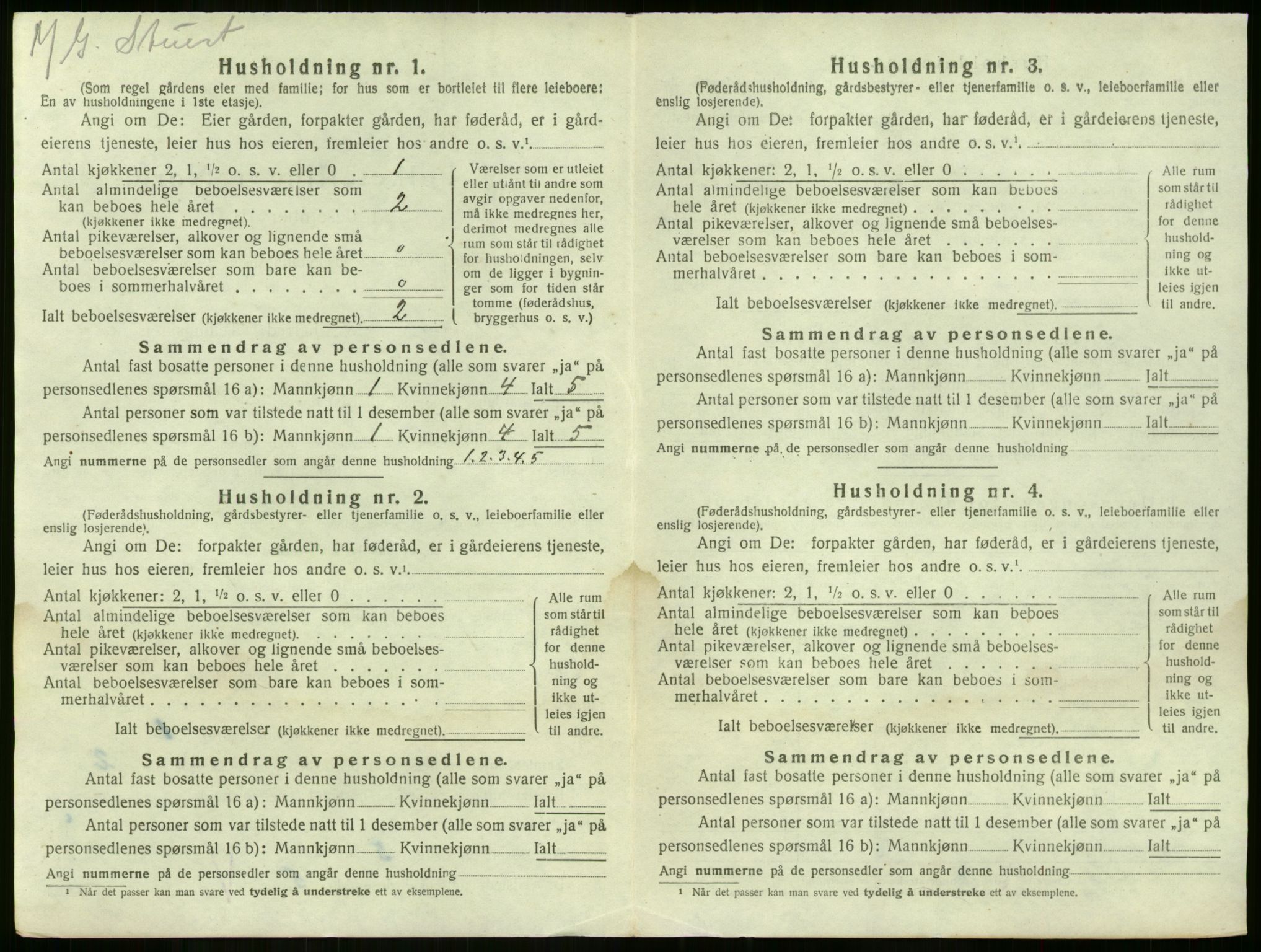 SAKO, 1920 census for Nøtterøy, 1920, p. 875