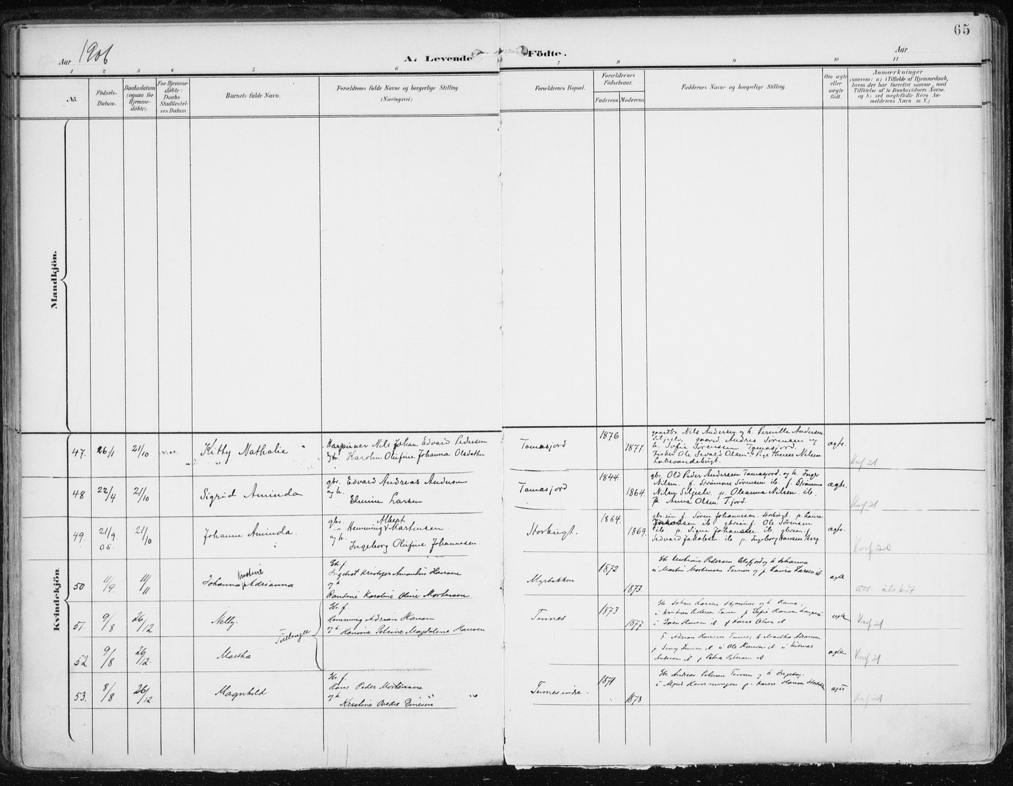 Balsfjord sokneprestembete, AV/SATØ-S-1303/G/Ga/L0006kirke: Parish register (official) no. 6, 1897-1909, p. 65