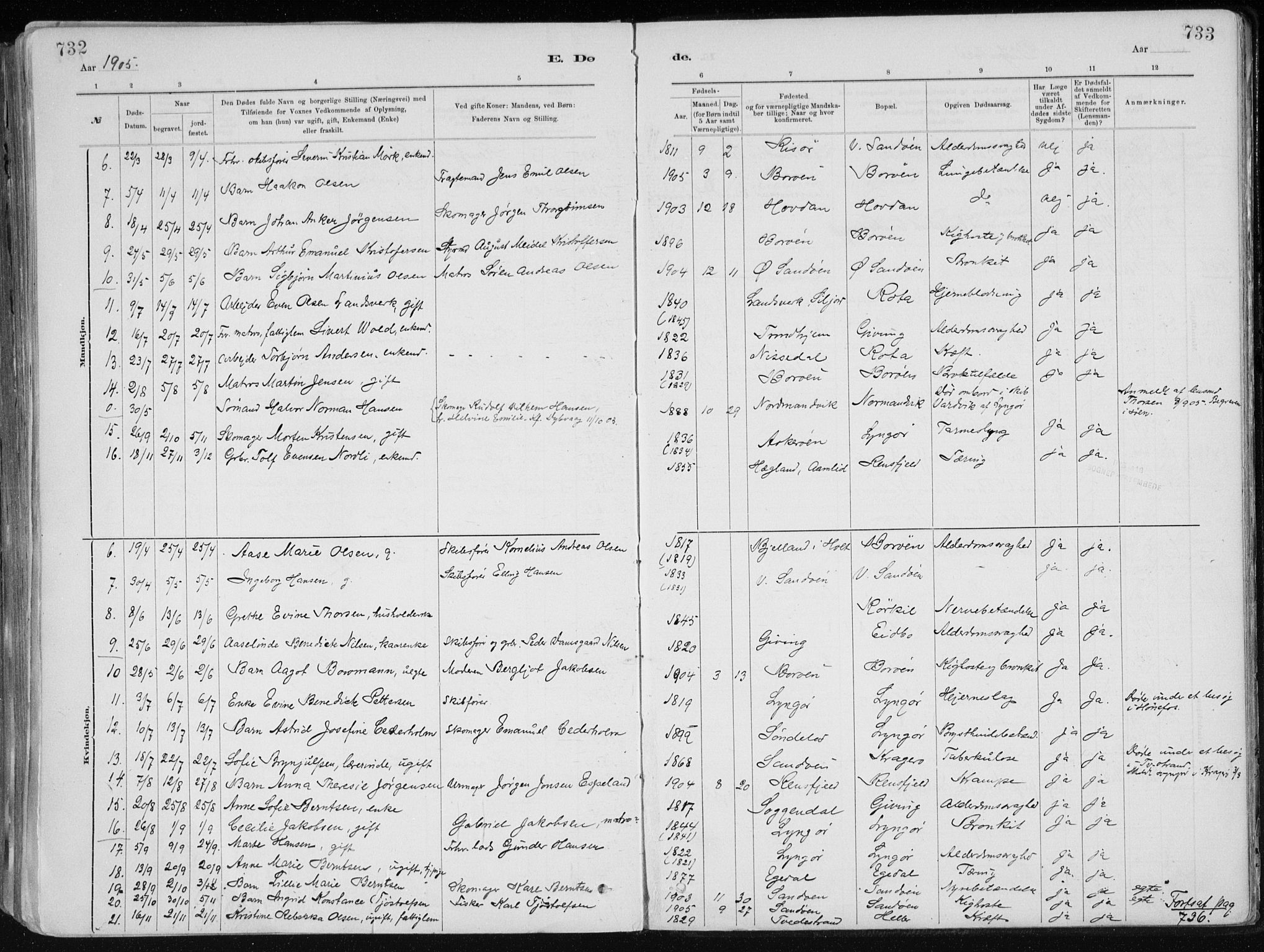 Dypvåg sokneprestkontor, AV/SAK-1111-0007/F/Fa/Faa/L0008: Parish register (official) no. A 8, 1885-1906, p. 732-733