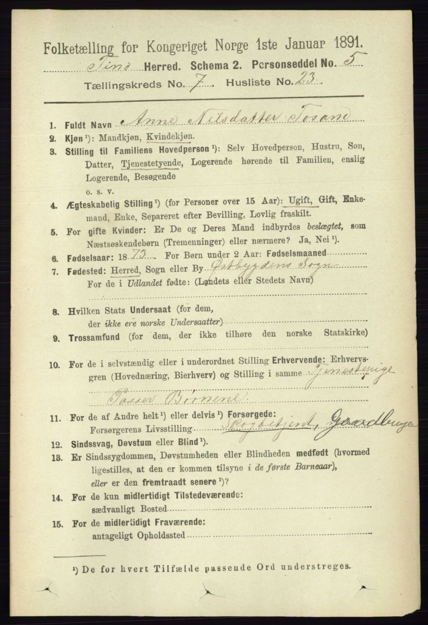 RA, 1891 census for 0826 Tinn, 1891, p. 1548