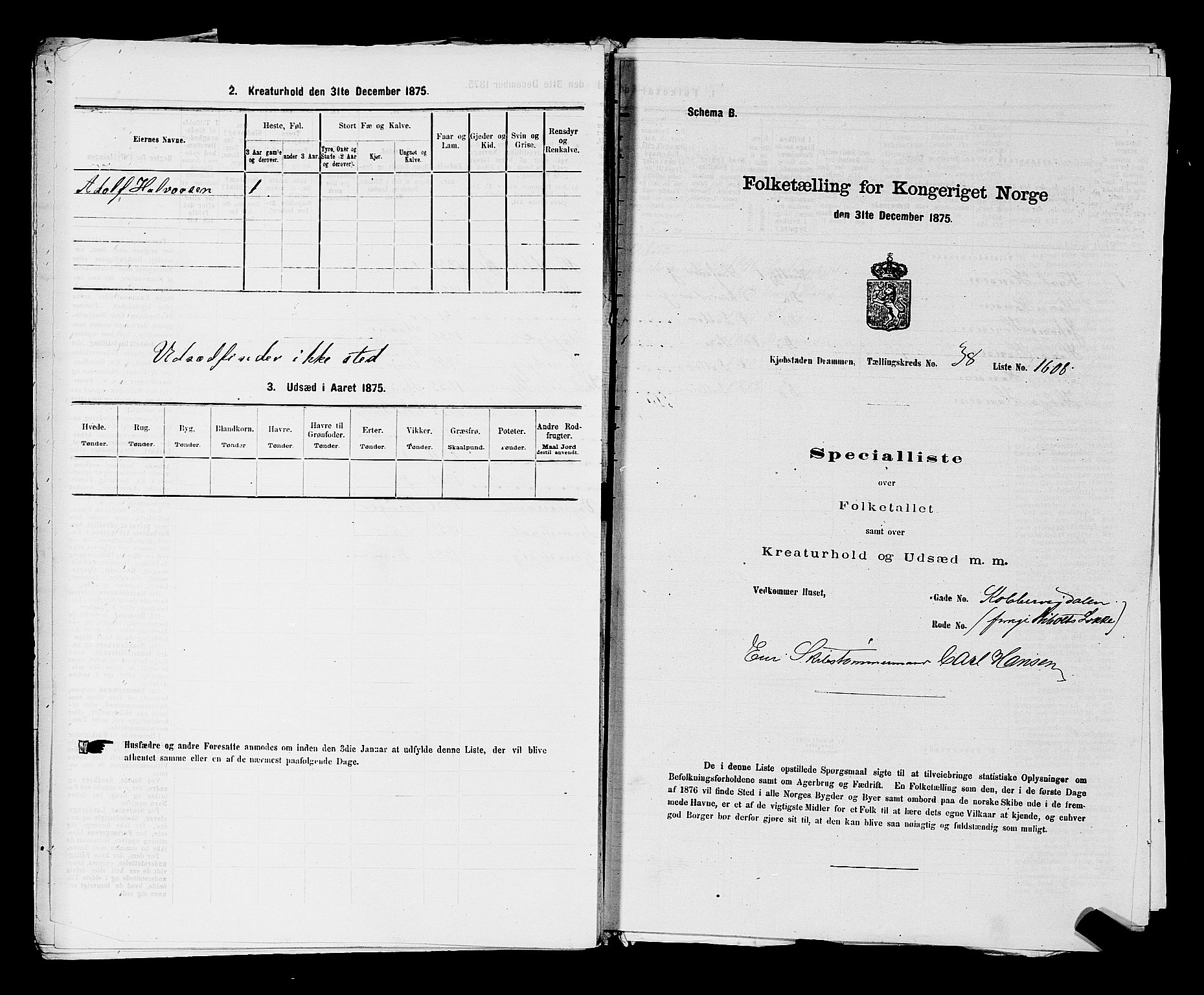 SAKO, 1875 census for 0602 Drammen, 1875, p. 3299