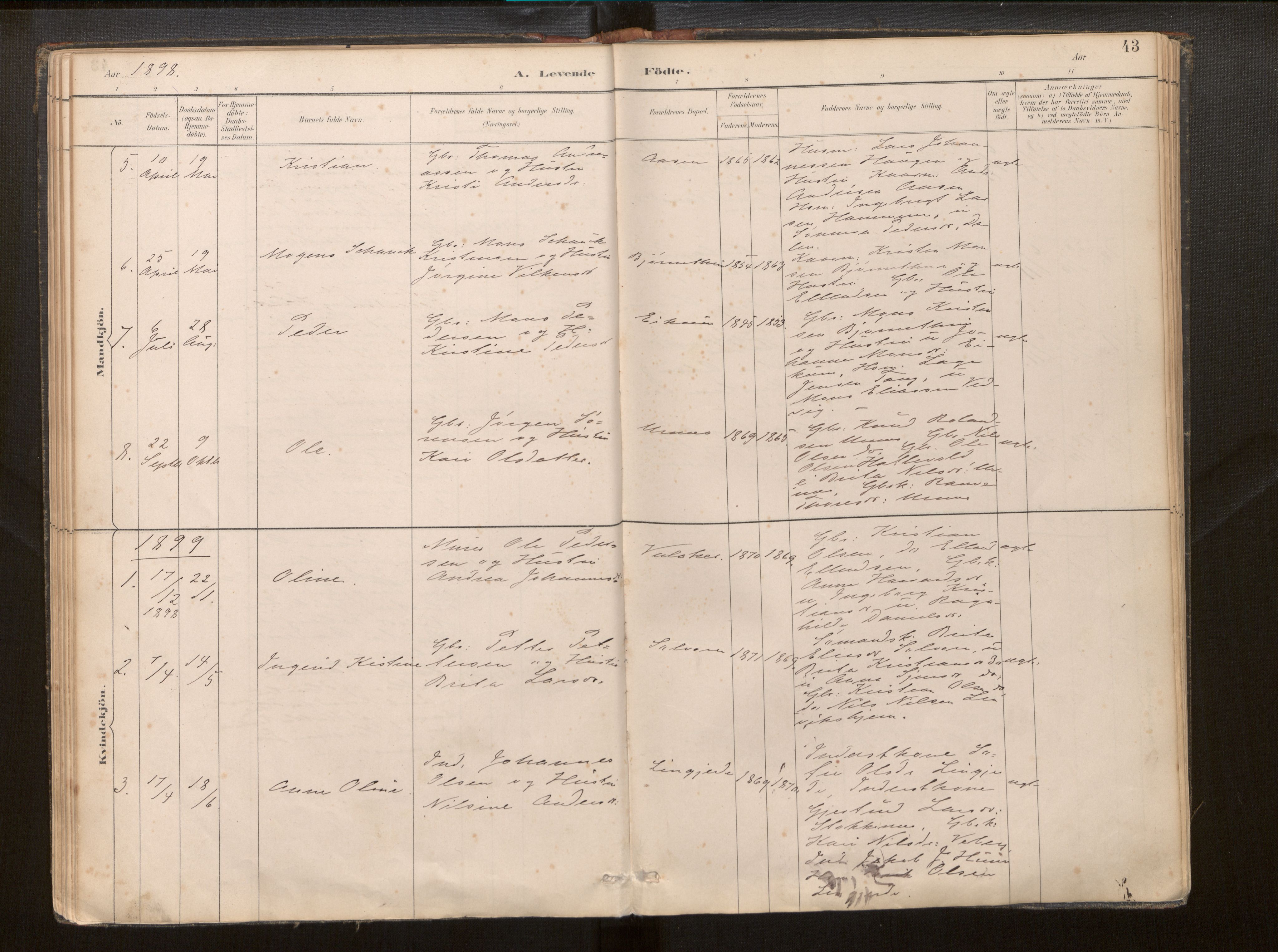 Hafslo sokneprestembete, SAB/A-80301/H/Haa/Haac/L0001: Parish register (official) no. C 1, 1886-1944, p. 43