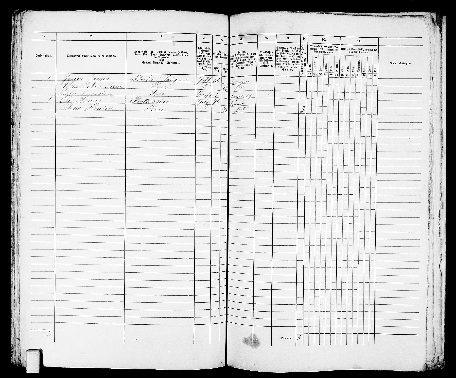 RA, 1865 census for Larvik, 1865, p. 871