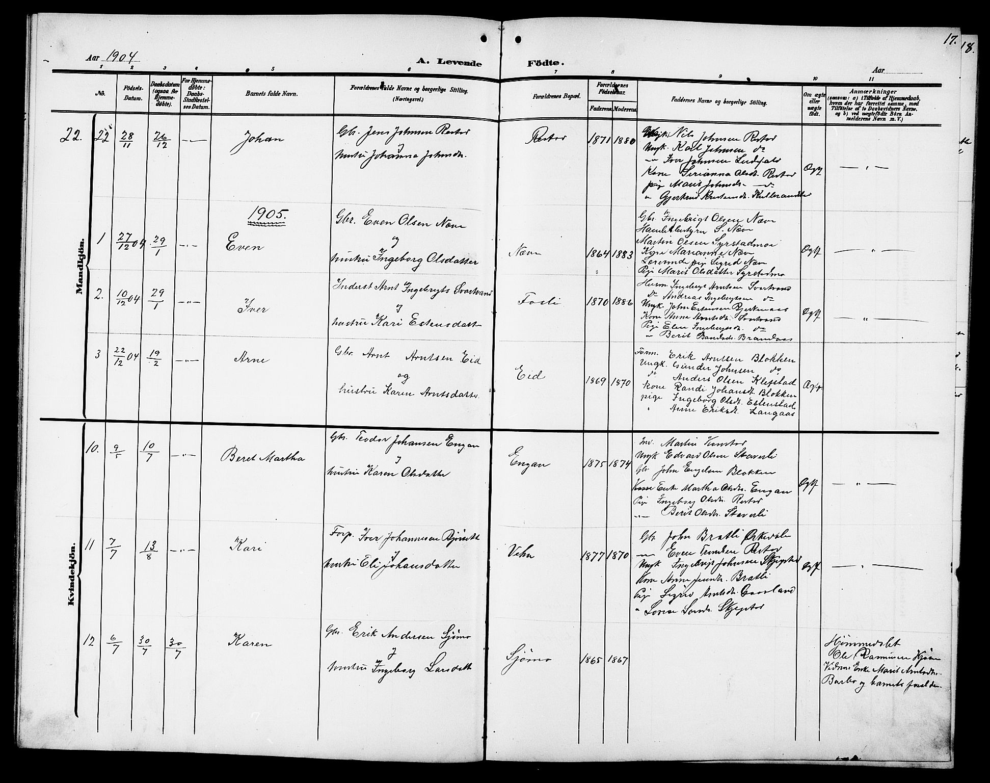 Ministerialprotokoller, klokkerbøker og fødselsregistre - Sør-Trøndelag, AV/SAT-A-1456/694/L1133: Parish register (copy) no. 694C05, 1901-1914, p. 17