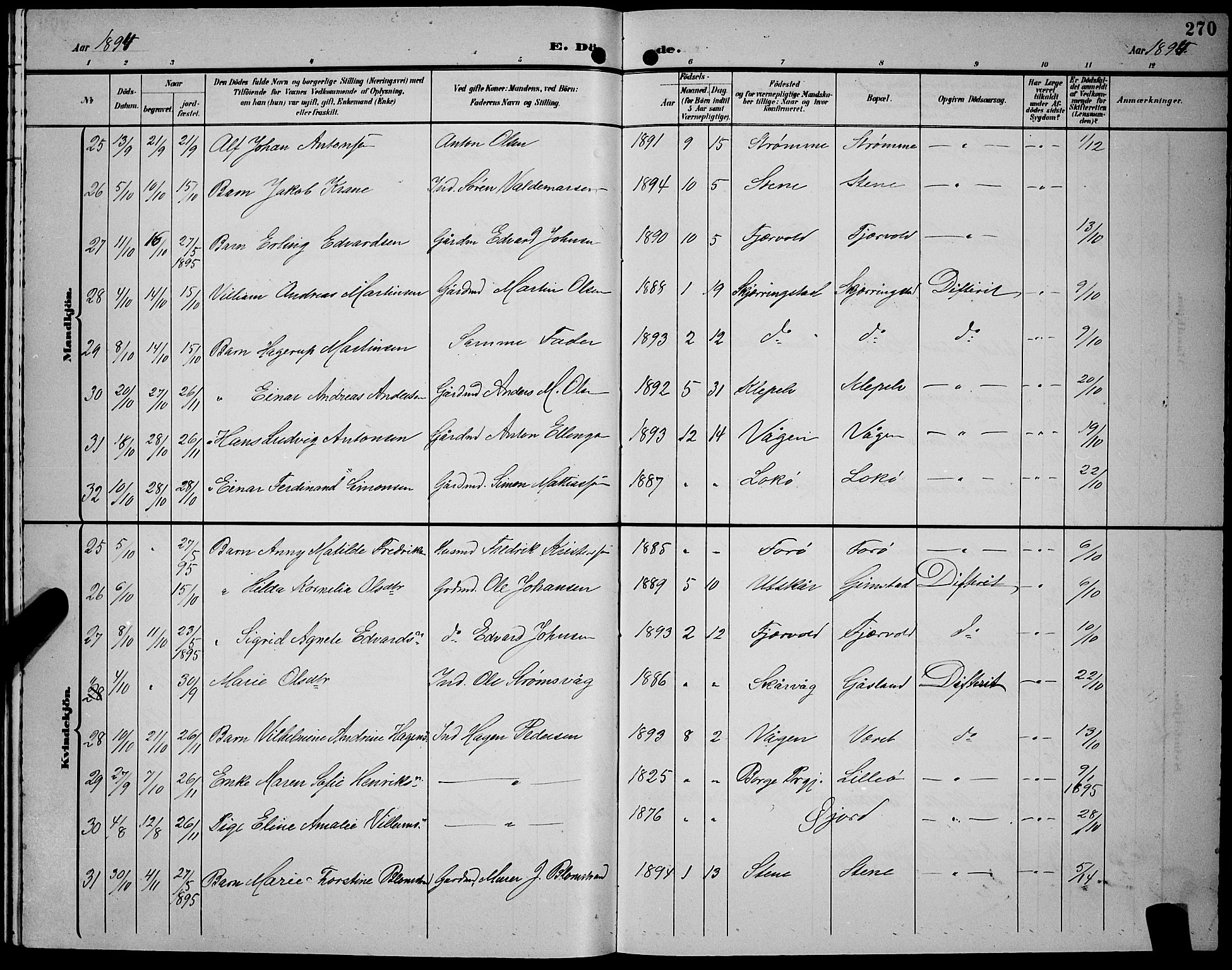 Ministerialprotokoller, klokkerbøker og fødselsregistre - Nordland, AV/SAT-A-1459/891/L1316: Parish register (copy) no. 891C05, 1894-1898, p. 270