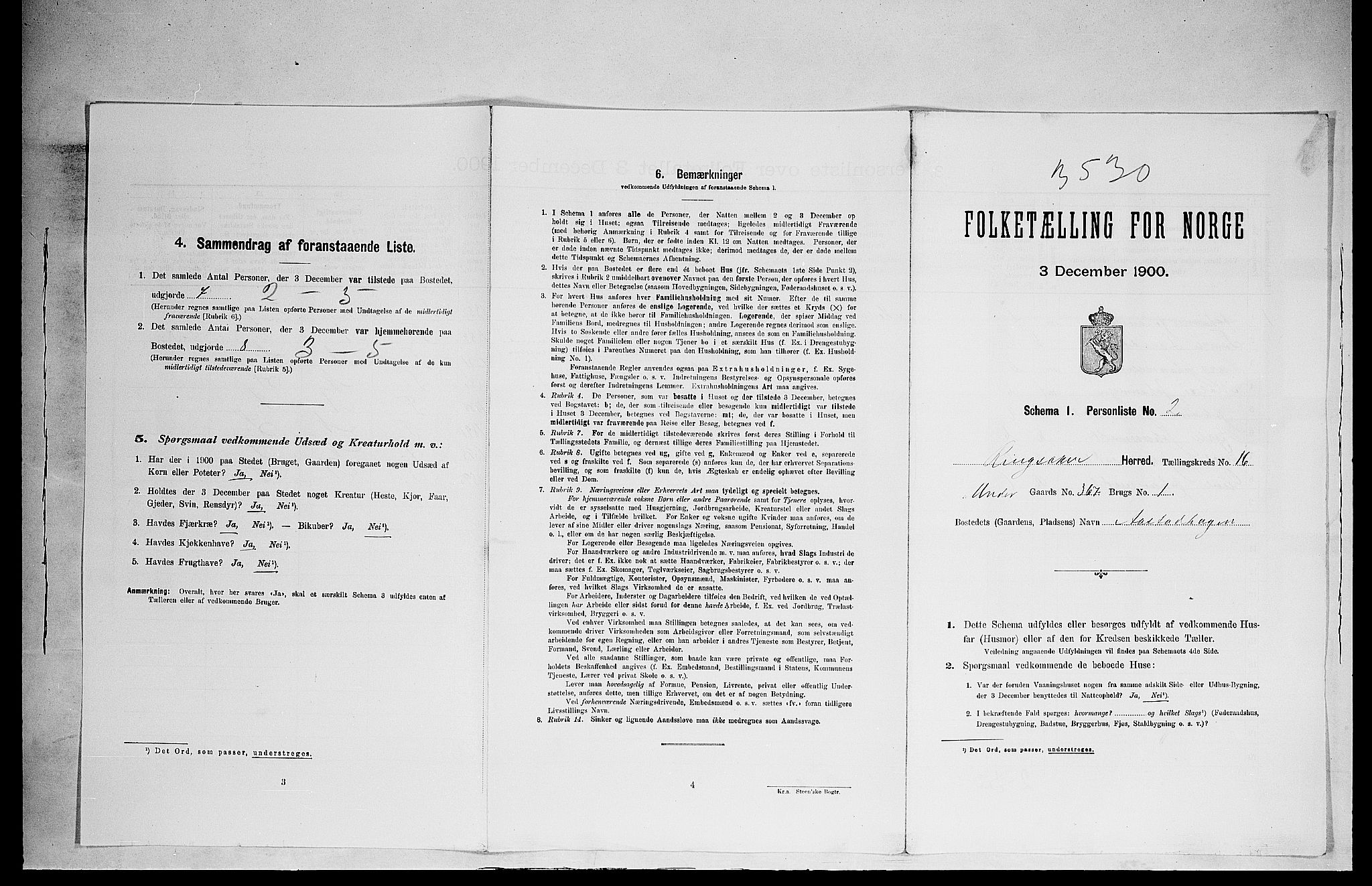 SAH, 1900 census for Ringsaker, 1900, p. 2957