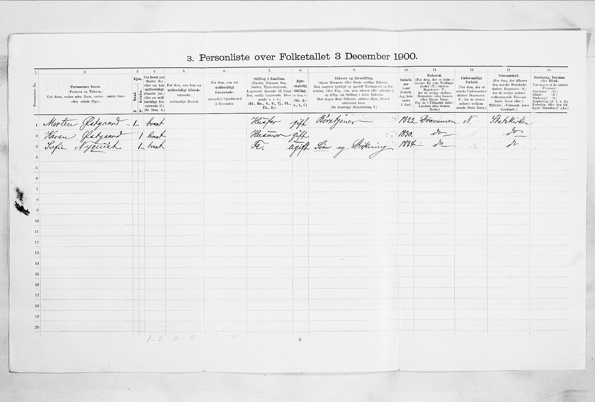 RA, 1900 census for Drammen, 1900, p. 3020