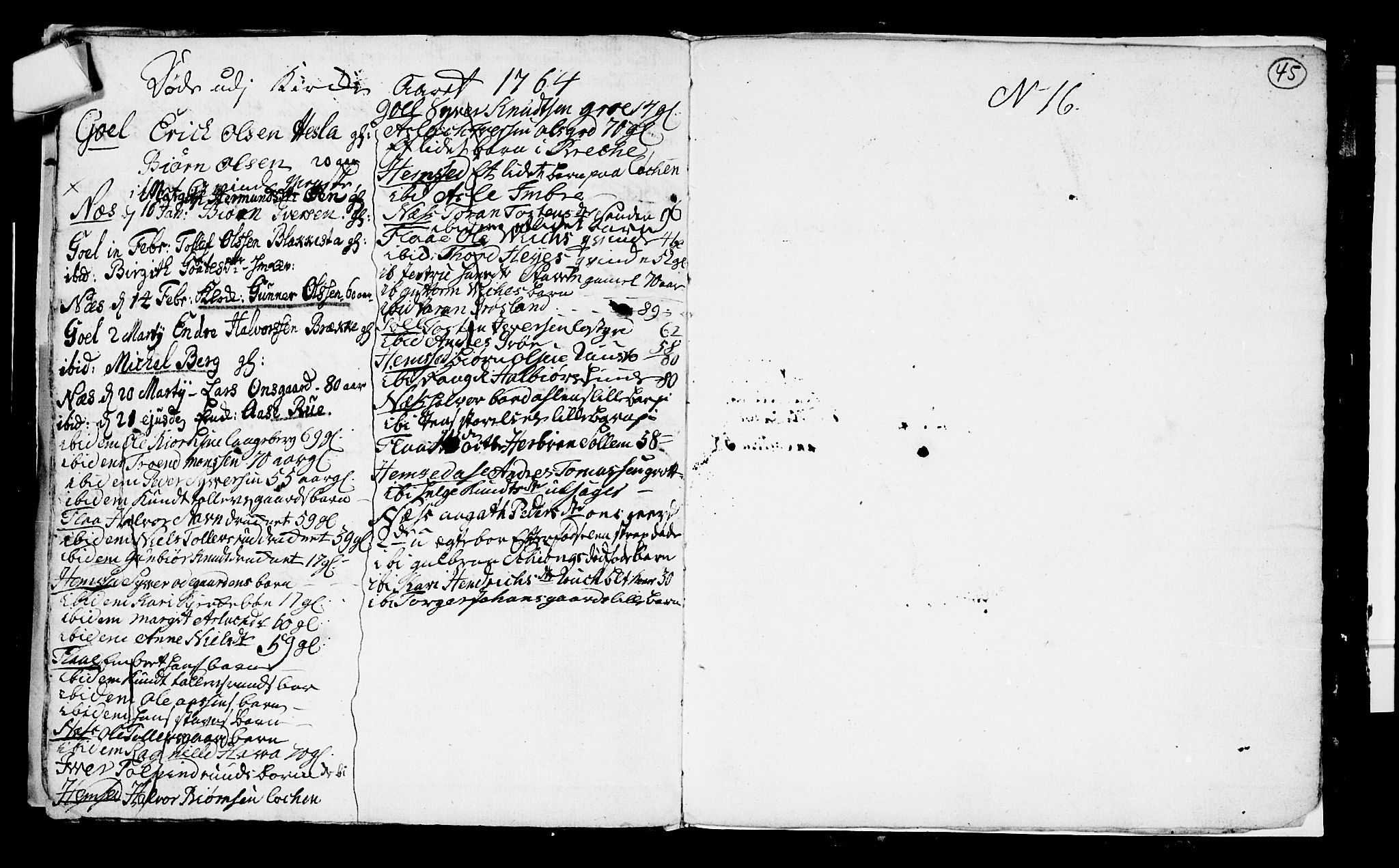 Nes kirkebøker, SAKO/A-236/F/Fa/L0003: Parish register (official) no. 3, 1760-1764, p. 45