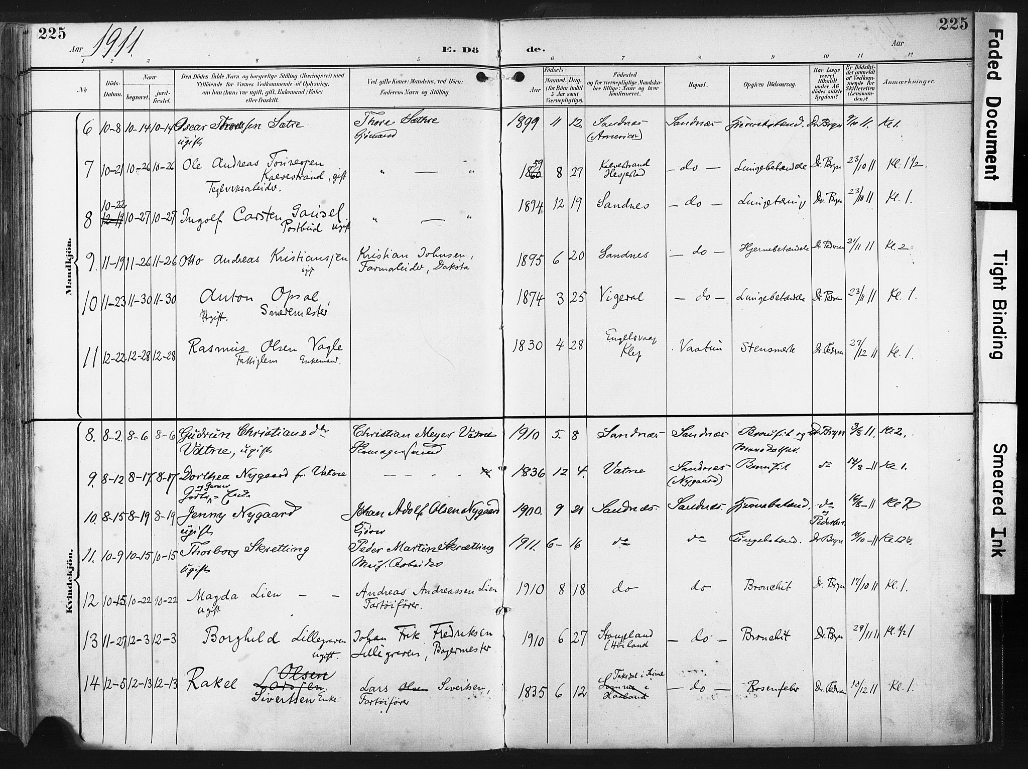 Høyland sokneprestkontor, SAST/A-101799/001/30BA/L0016: Parish register (official) no. A 16, 1899-1911, p. 225