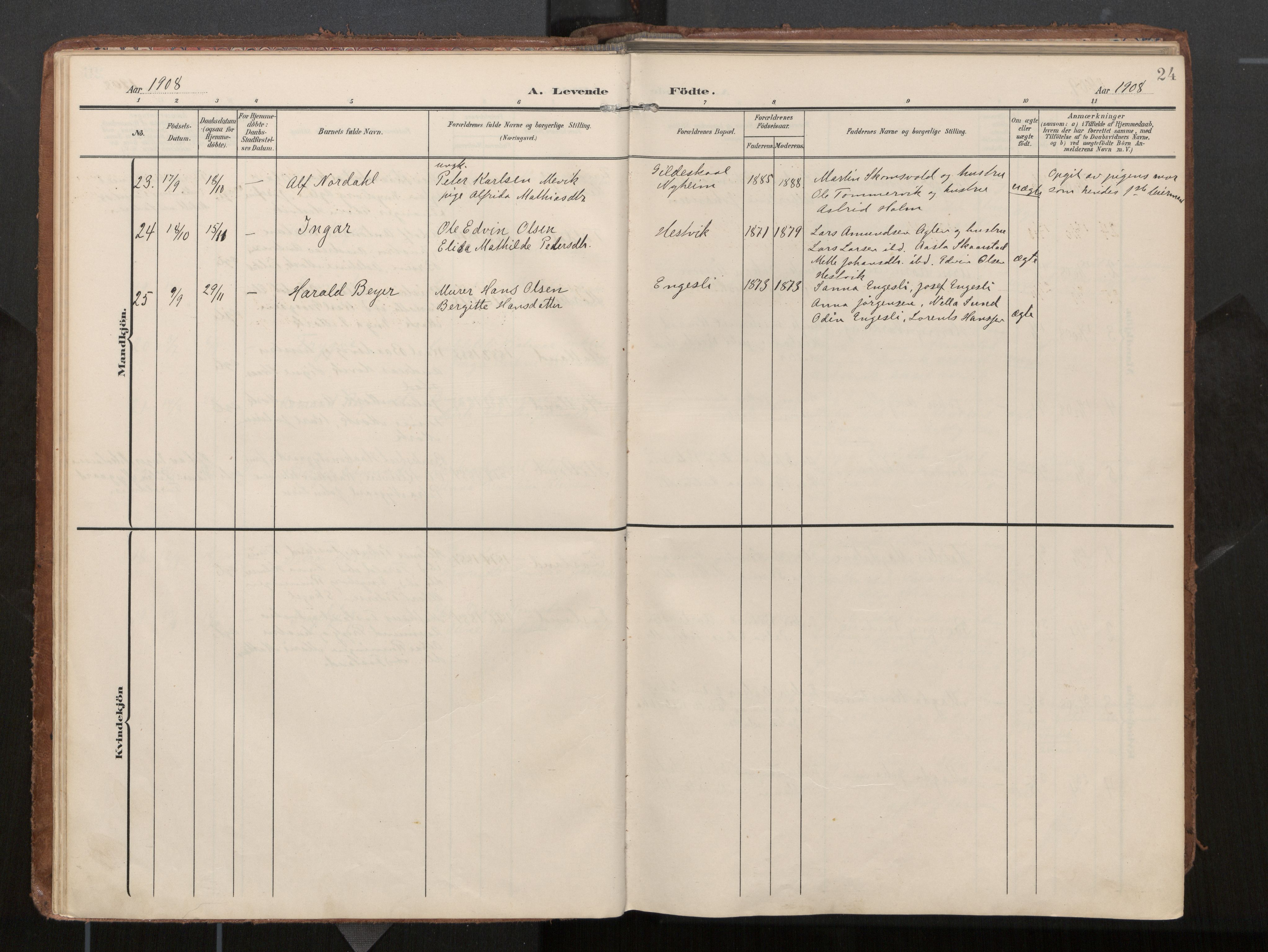 Ministerialprotokoller, klokkerbøker og fødselsregistre - Nord-Trøndelag, AV/SAT-A-1458/774/L0629: Parish register (official), 1904-1926, p. 24