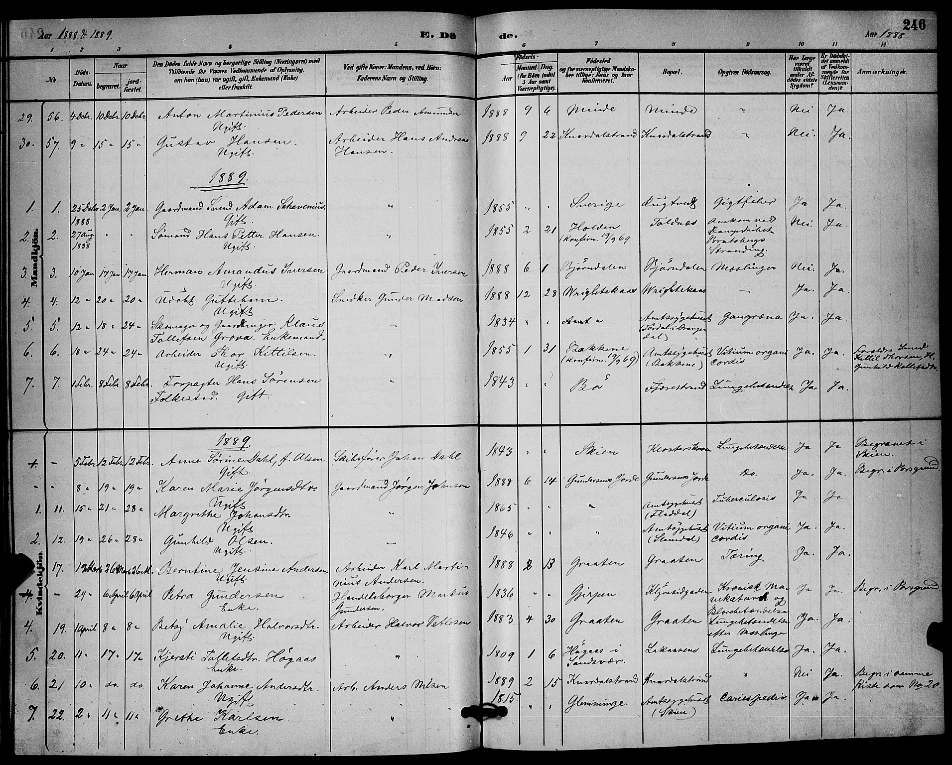Solum kirkebøker, SAKO/A-306/G/Ga/L0007: Parish register (copy) no. I 7, 1884-1898, p. 246