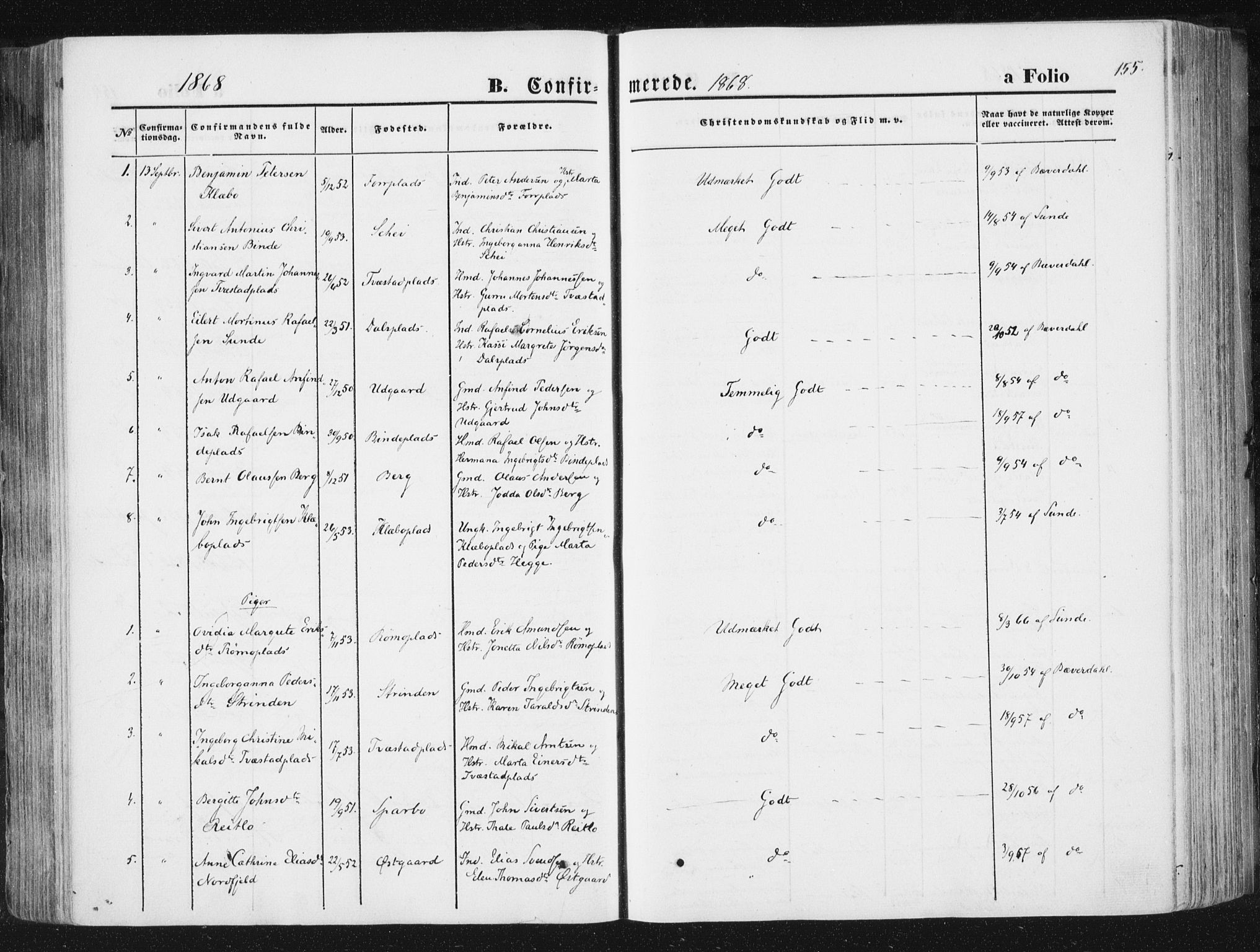 Ministerialprotokoller, klokkerbøker og fødselsregistre - Nord-Trøndelag, SAT/A-1458/746/L0447: Parish register (official) no. 746A06, 1860-1877, p. 155