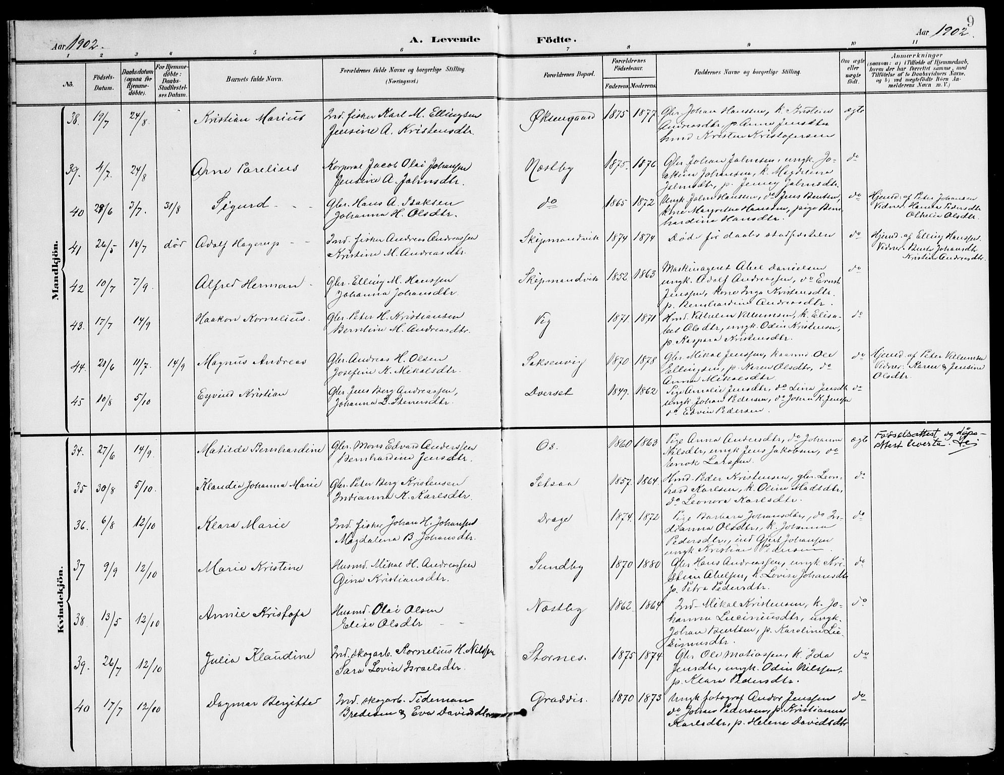 Ministerialprotokoller, klokkerbøker og fødselsregistre - Nordland, AV/SAT-A-1459/847/L0672: Parish register (official) no. 847A12, 1902-1919, p. 9