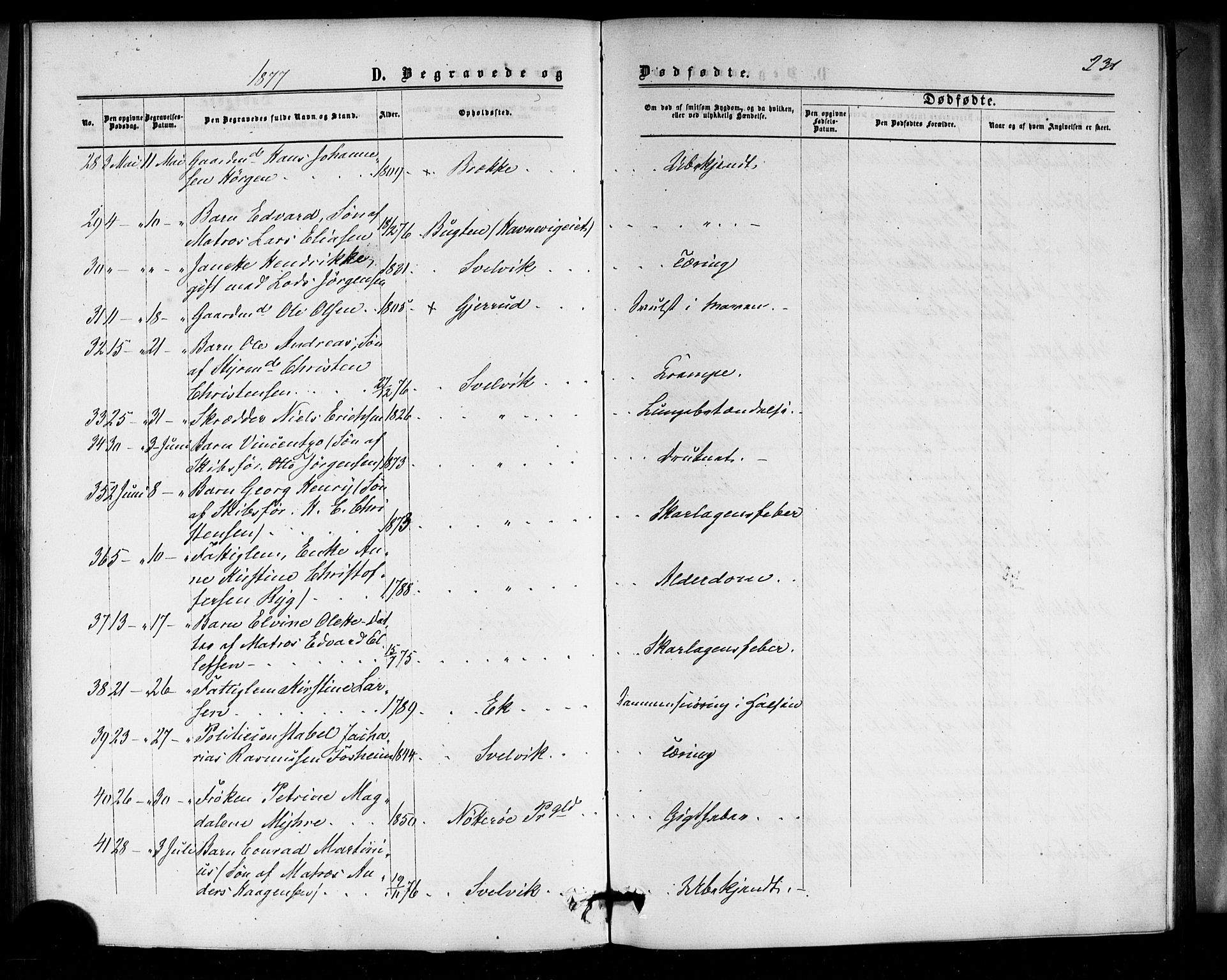 Strømm kirkebøker, SAKO/A-322/F/Fa/L0002: Parish register (official) no. I 2, 1870-1877, p. 231