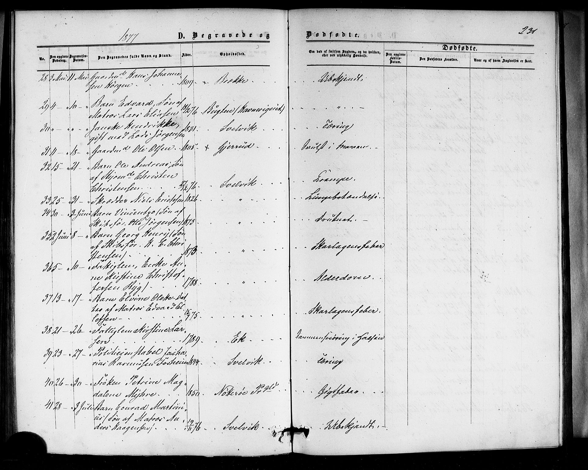 Strømm kirkebøker, AV/SAKO-A-322/F/Fa/L0002: Parish register (official) no. I 2, 1870-1877, p. 231