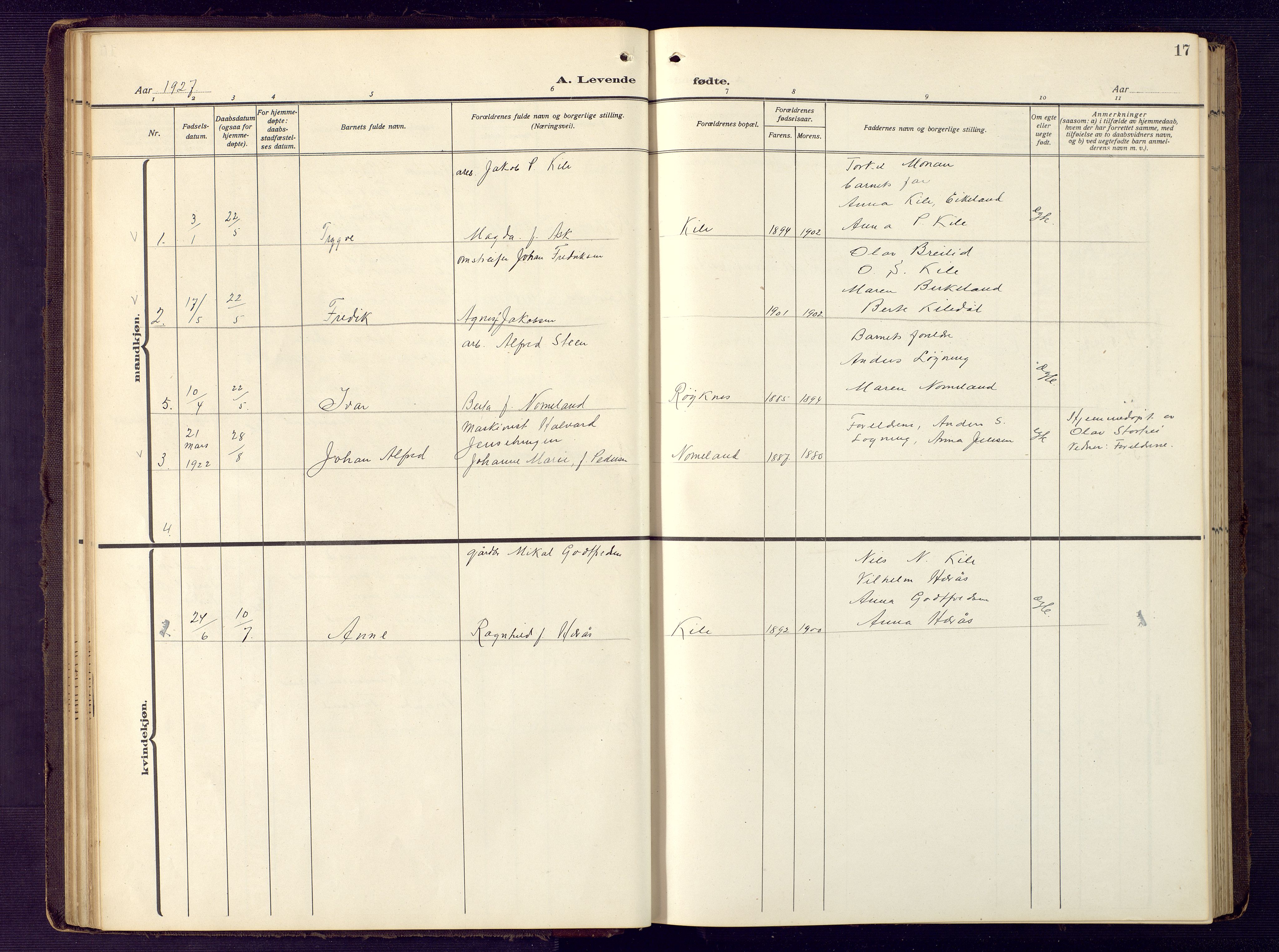 Vennesla sokneprestkontor, SAK/1111-0045/Fb/Fba/L0004: Parish register (copy) no. B 4, 1917-1948, p. 17