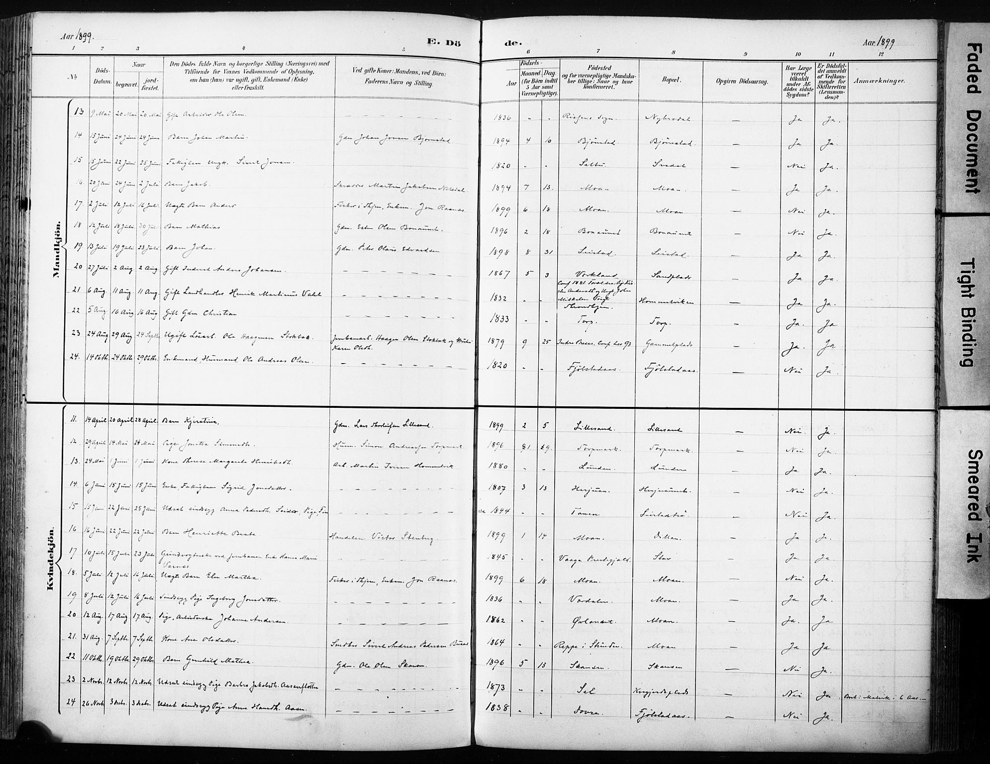 Ministerialprotokoller, klokkerbøker og fødselsregistre - Sør-Trøndelag, AV/SAT-A-1456/616/L0411: Parish register (official) no. 616A08, 1894-1906