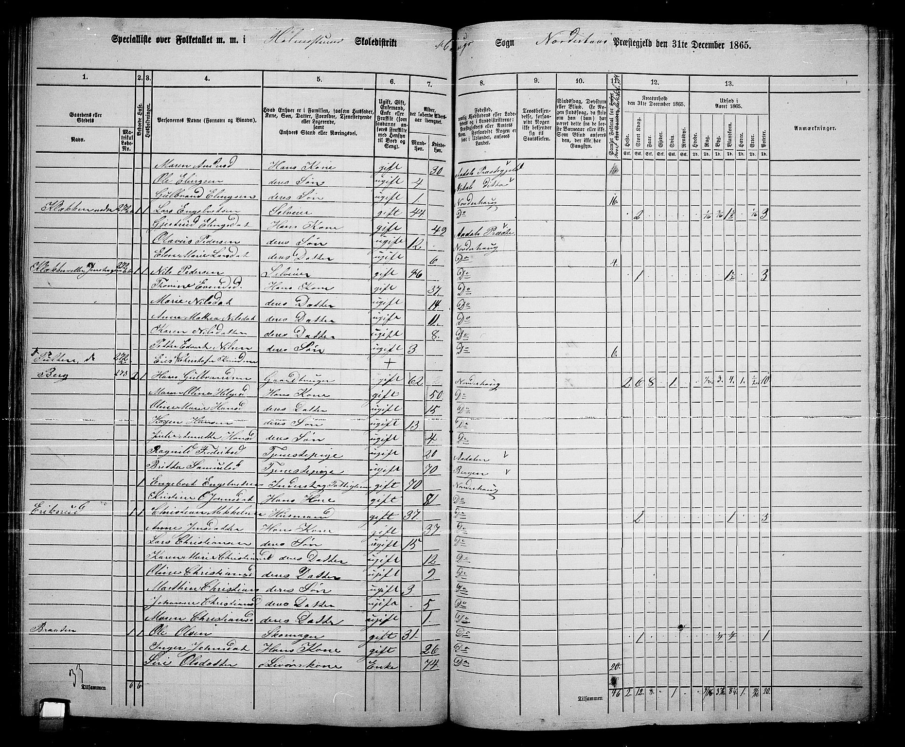 RA, 1865 census for Norderhov/Norderhov, Haug og Lunder, 1865, p. 220