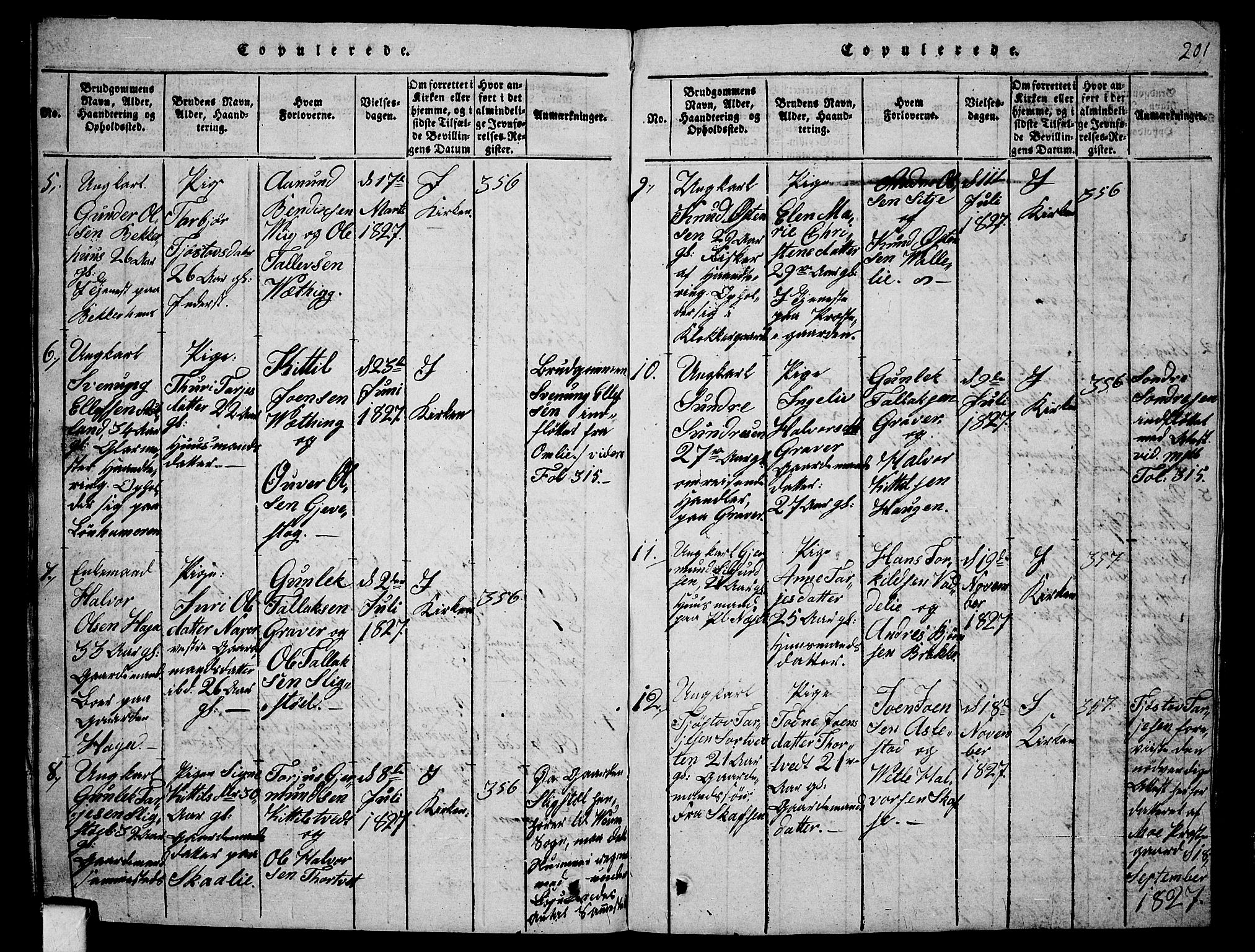 Fyresdal kirkebøker, SAKO/A-263/G/Ga/L0001: Parish register (copy) no. I 1, 1816-1840, p. 201