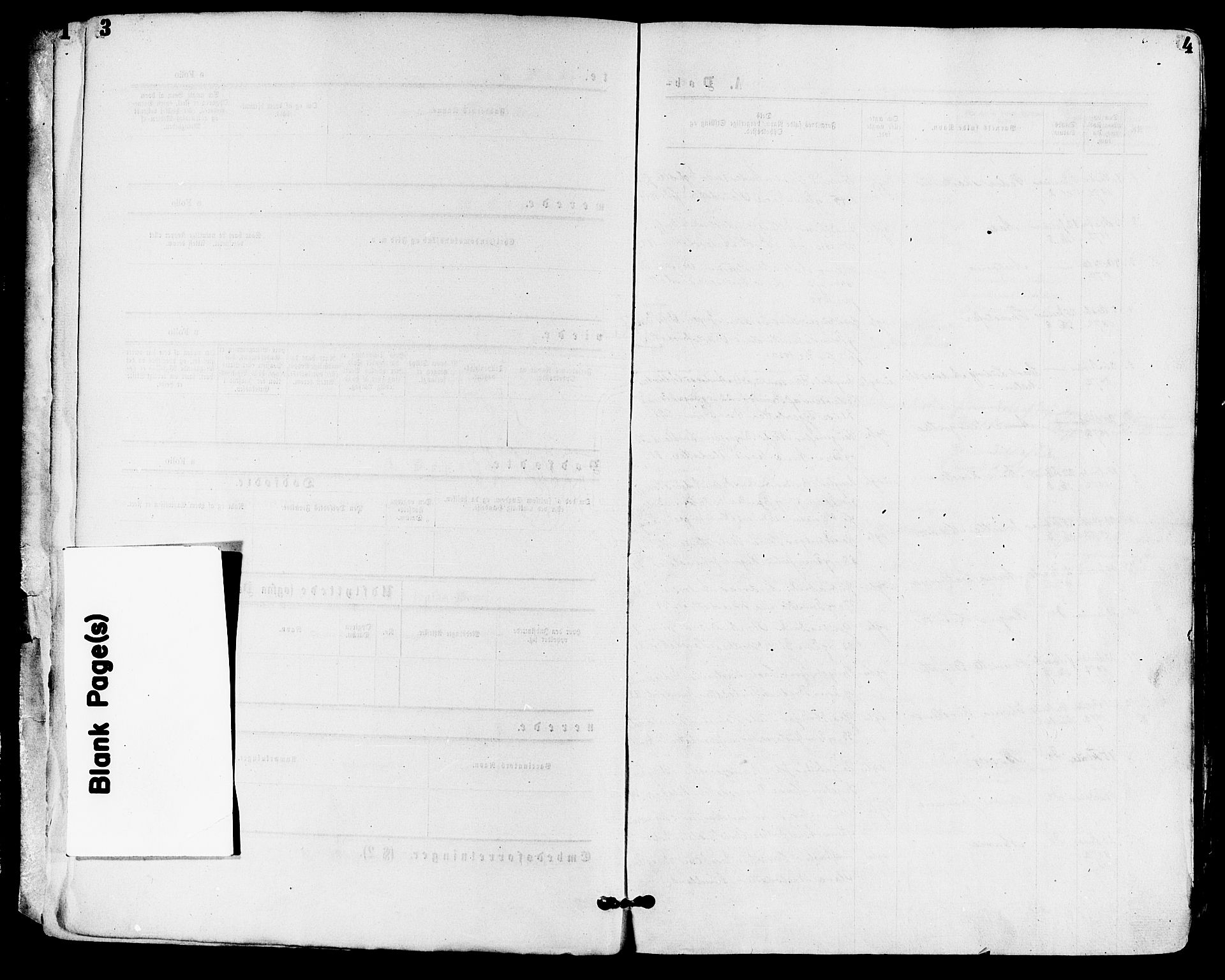 Skoger kirkebøker, AV/SAKO-A-59/F/Fa/L0005: Parish register (official) no. I 5, 1873-1884, p. 3-4