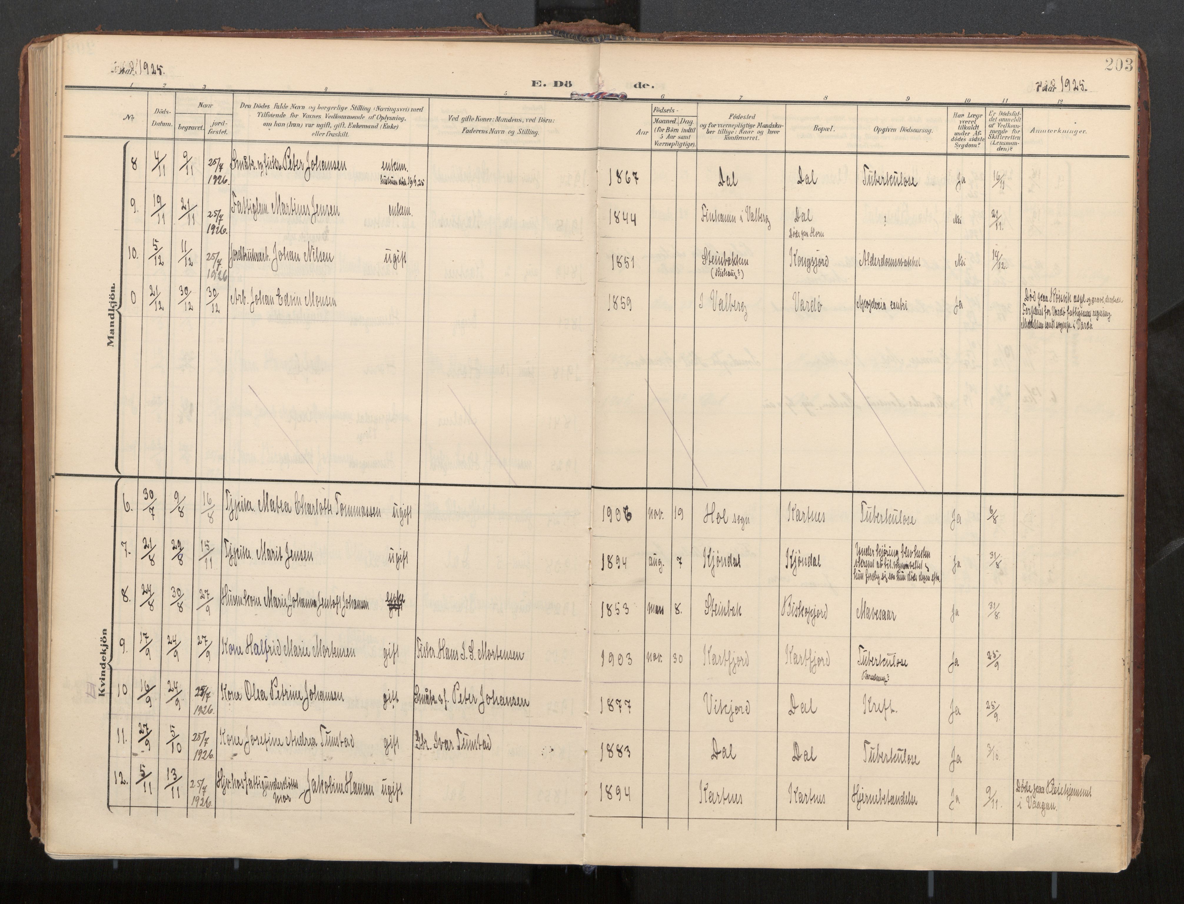 Ministerialprotokoller, klokkerbøker og fødselsregistre - Nordland, AV/SAT-A-1459/884/L1194: Parish register (official) no. 884A02, 1906-1937, p. 203