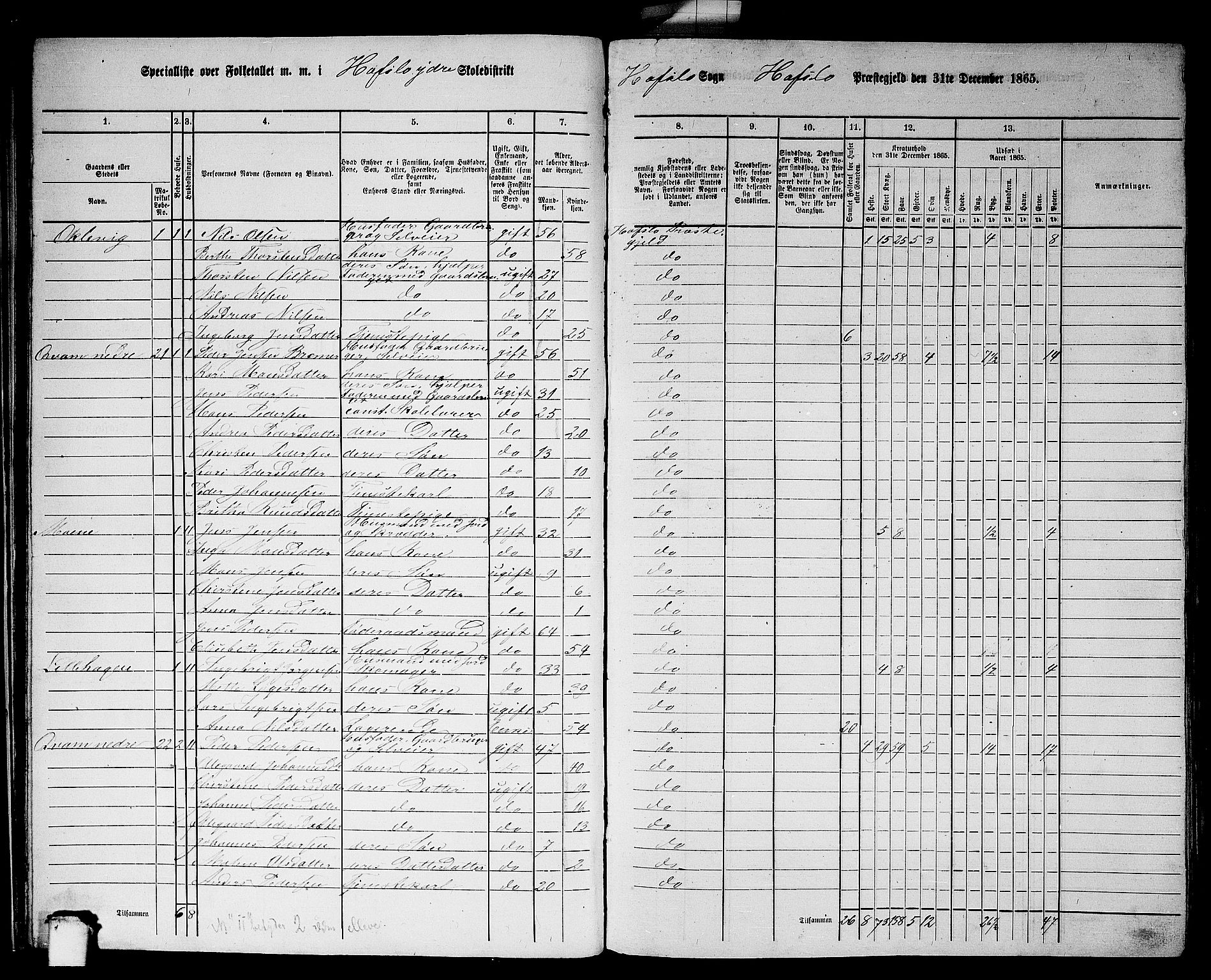 RA, 1865 census for Hafslo, 1865, p. 26