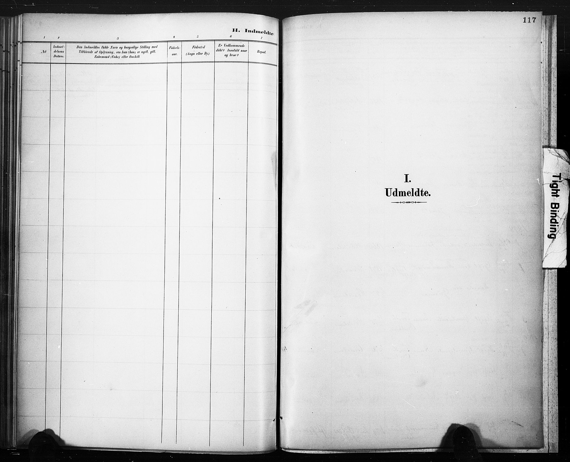 Lårdal kirkebøker, SAKO/A-284/F/Fc/L0002: Parish register (official) no. III 2, 1887-1906, p. 117