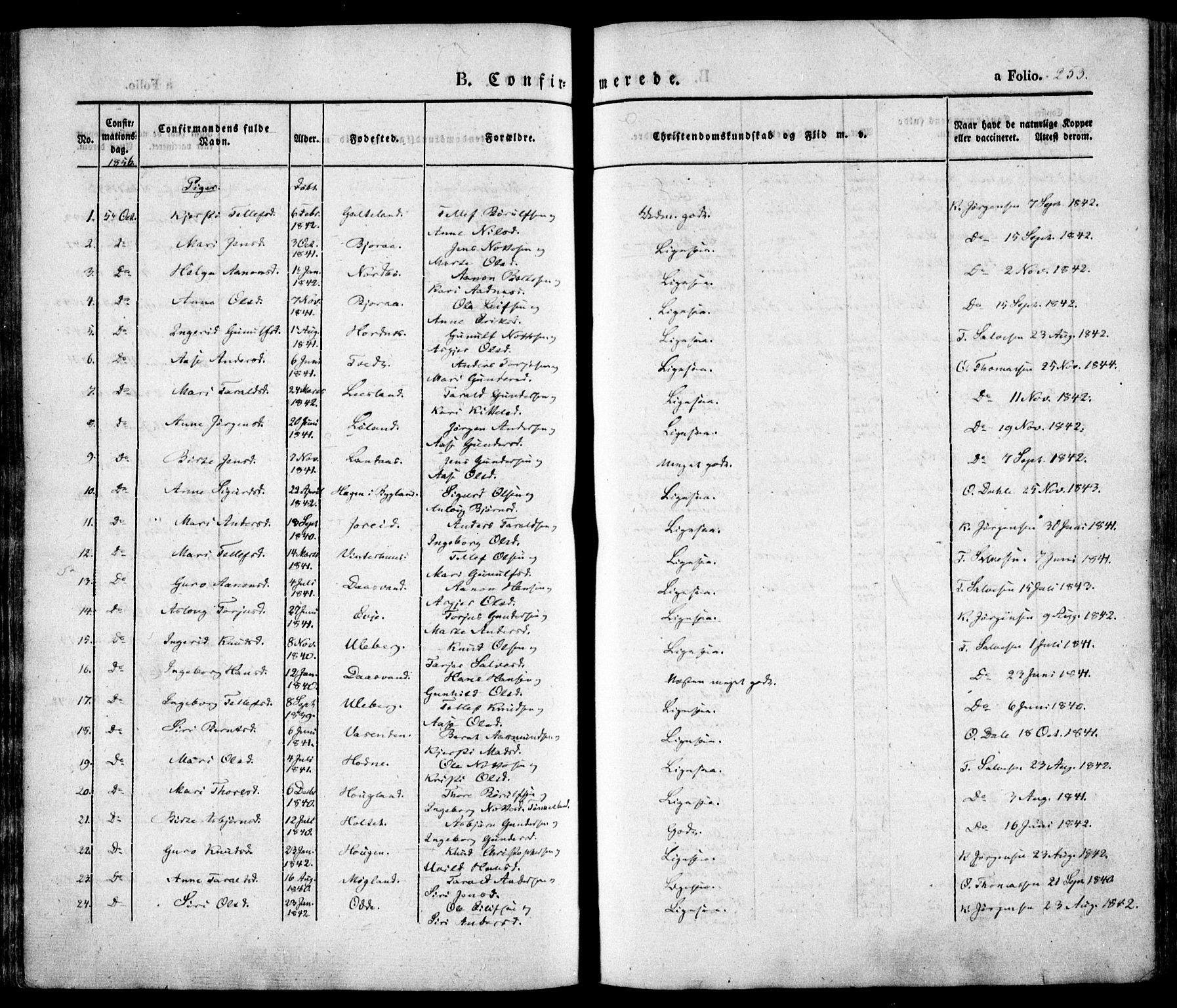 Evje sokneprestkontor, AV/SAK-1111-0008/F/Fa/Faa/L0005: Parish register (official) no. A 5, 1843-1865, p. 253