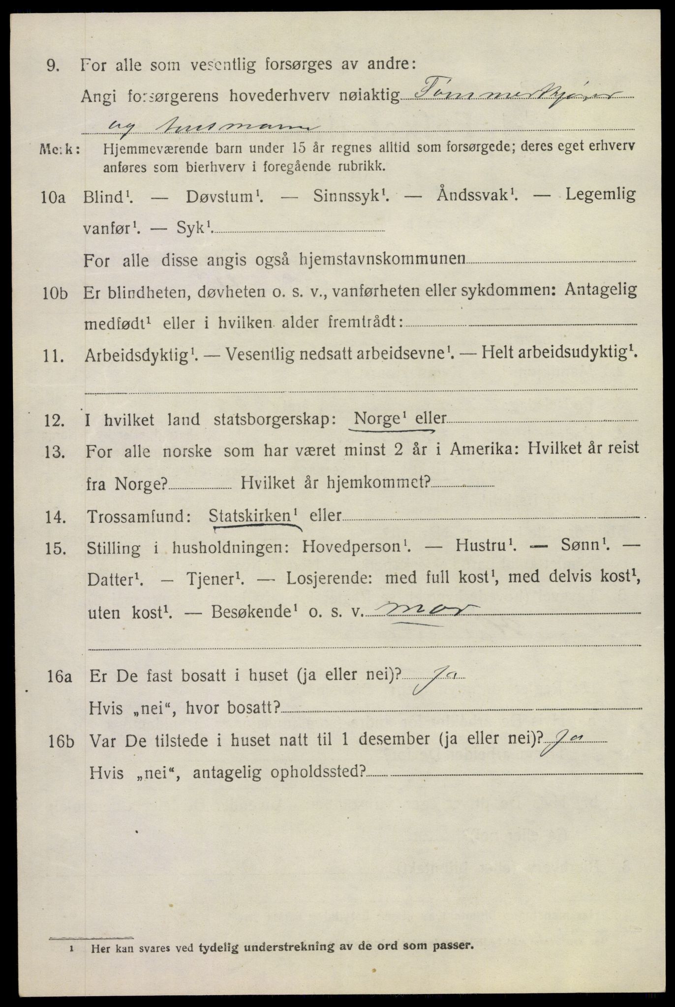 SAKO, 1920 census for Lier, 1920, p. 17255