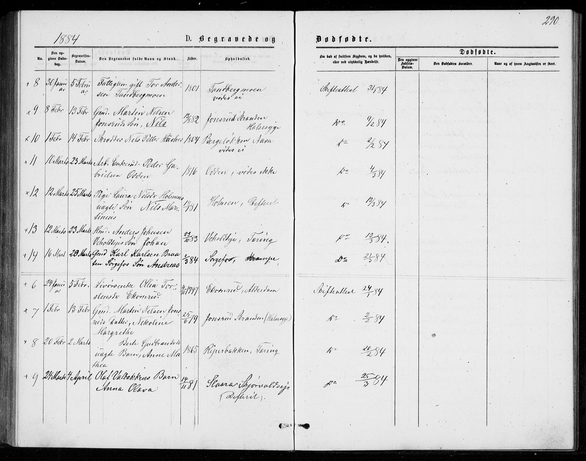 Norderhov kirkebøker, AV/SAKO-A-237/G/Ga/L0007: Parish register (copy) no. I 7, 1877-1887, p. 290