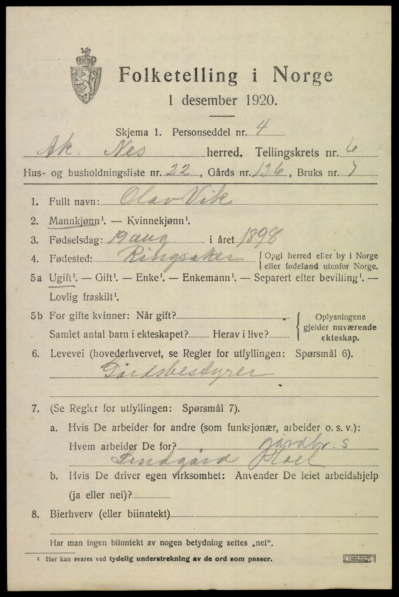 SAO, 1920 census for Nes, 1920, p. 7848