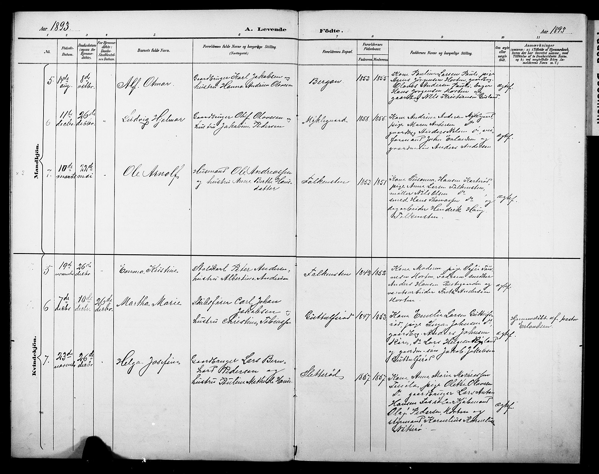 Borre kirkebøker, SAKO/A-338/G/Gb/L0003: Parish register (copy) no. II 3, 1893-1905