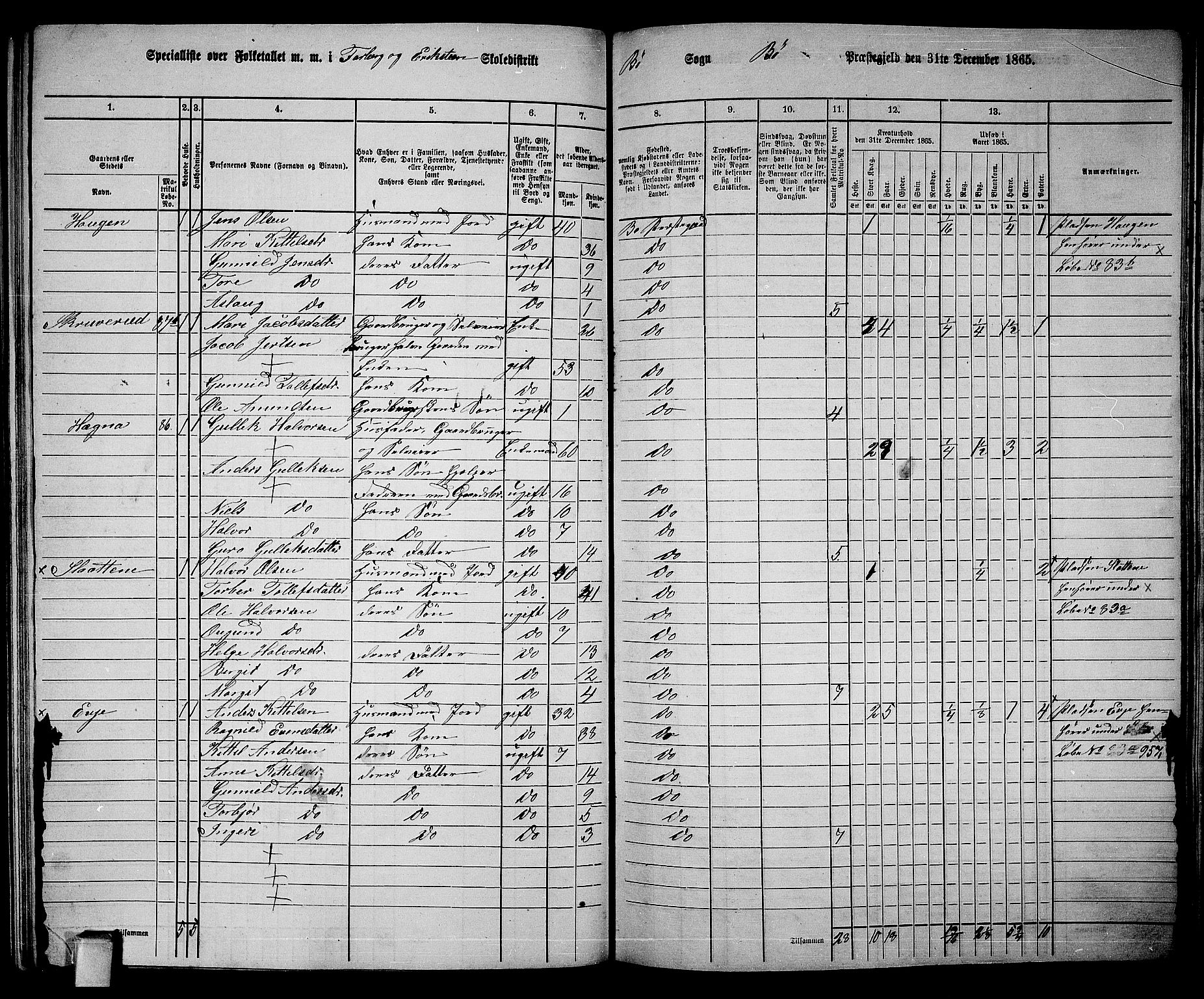 RA, 1865 census for Bø, 1865, p. 155