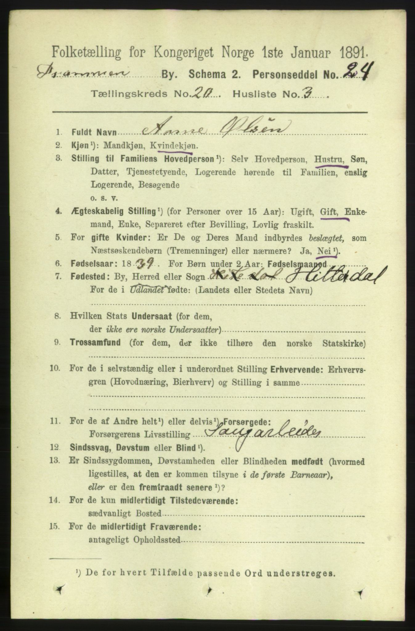 RA, 1891 census for 0602 Drammen, 1891, p. 12550