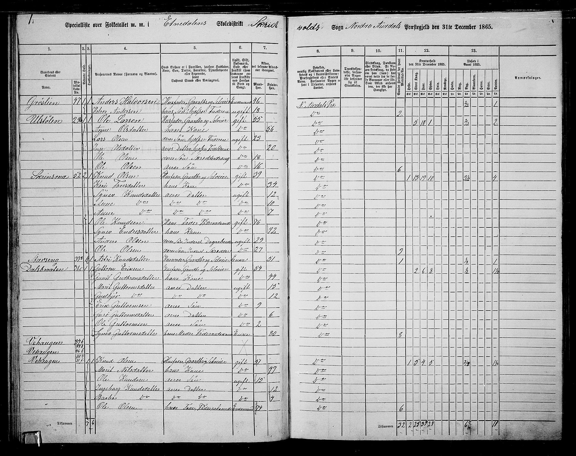 RA, 1865 census for Nord-Aurdal, 1865, p. 40