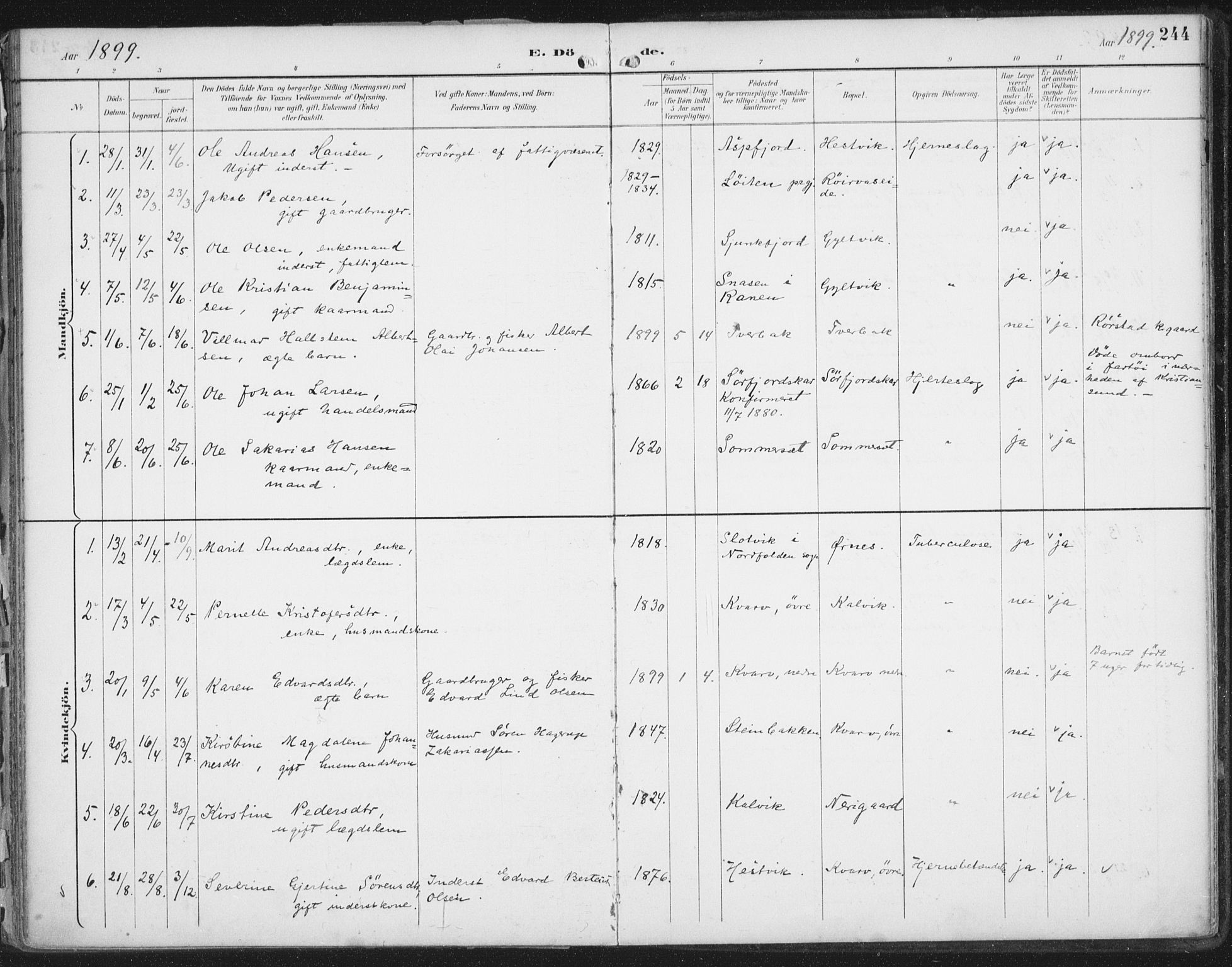 Ministerialprotokoller, klokkerbøker og fødselsregistre - Nordland, SAT/A-1459/854/L0779: Parish register (official) no. 854A02, 1892-1909, p. 244