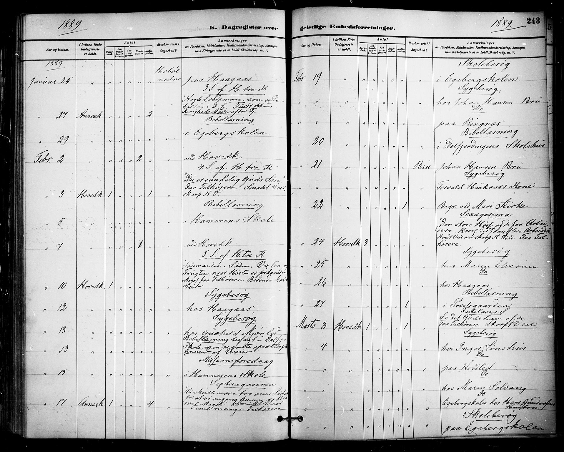Enebakk prestekontor Kirkebøker, AV/SAO-A-10171c/F/Fa/L0016: Parish register (official) no. I 16, 1883-1898, p. 243