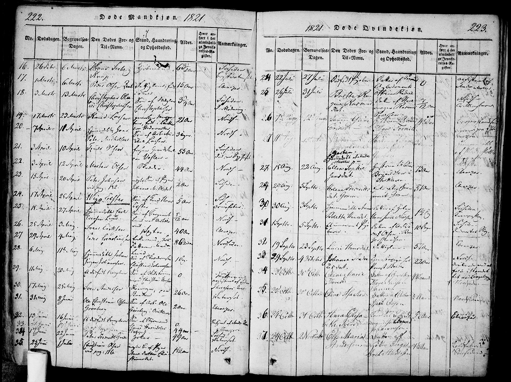 Halden prestekontor Kirkebøker, AV/SAO-A-10909/F/Fa/L0003: Parish register (official) no. I 3, 1815-1834, p. 222-223