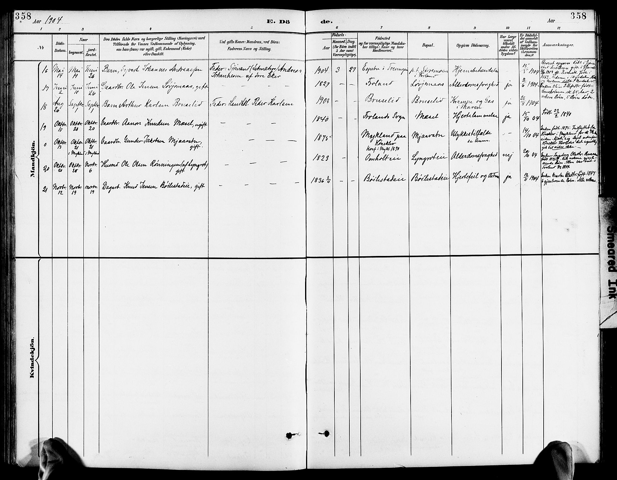 Froland sokneprestkontor, AV/SAK-1111-0013/F/Fb/L0010: Parish register (copy) no. B 10, 1893-1920, p. 358