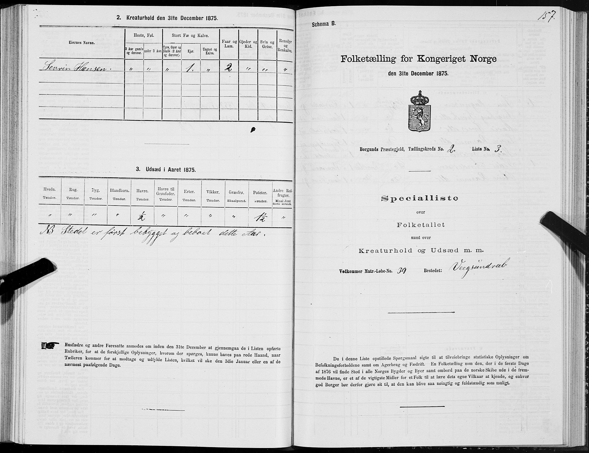 SAT, 1875 census for 1531P Borgund, 1875, p. 1157