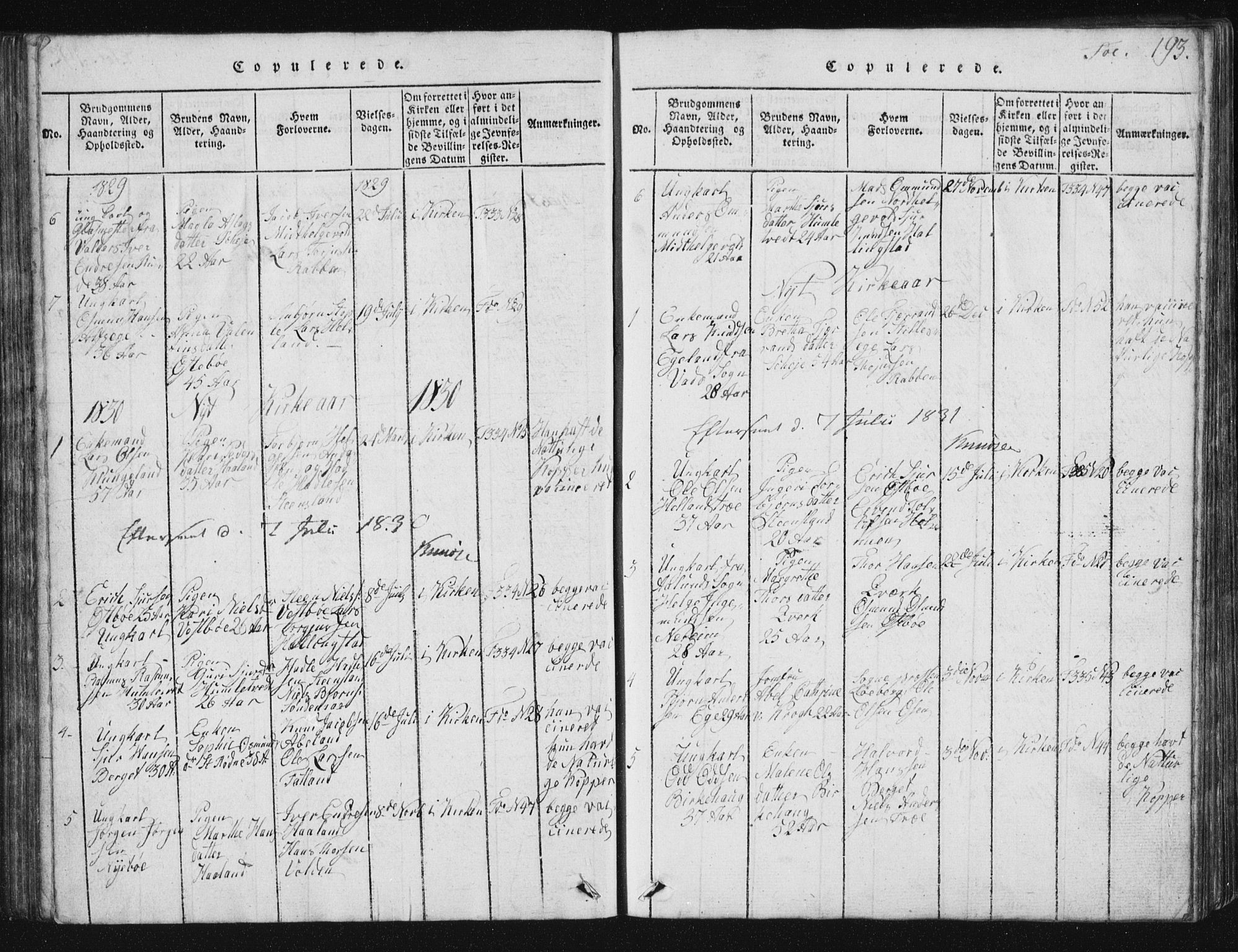 Vikedal sokneprestkontor, SAST/A-101840/01/V: Parish register (copy) no. B 2, 1816-1863, p. 193