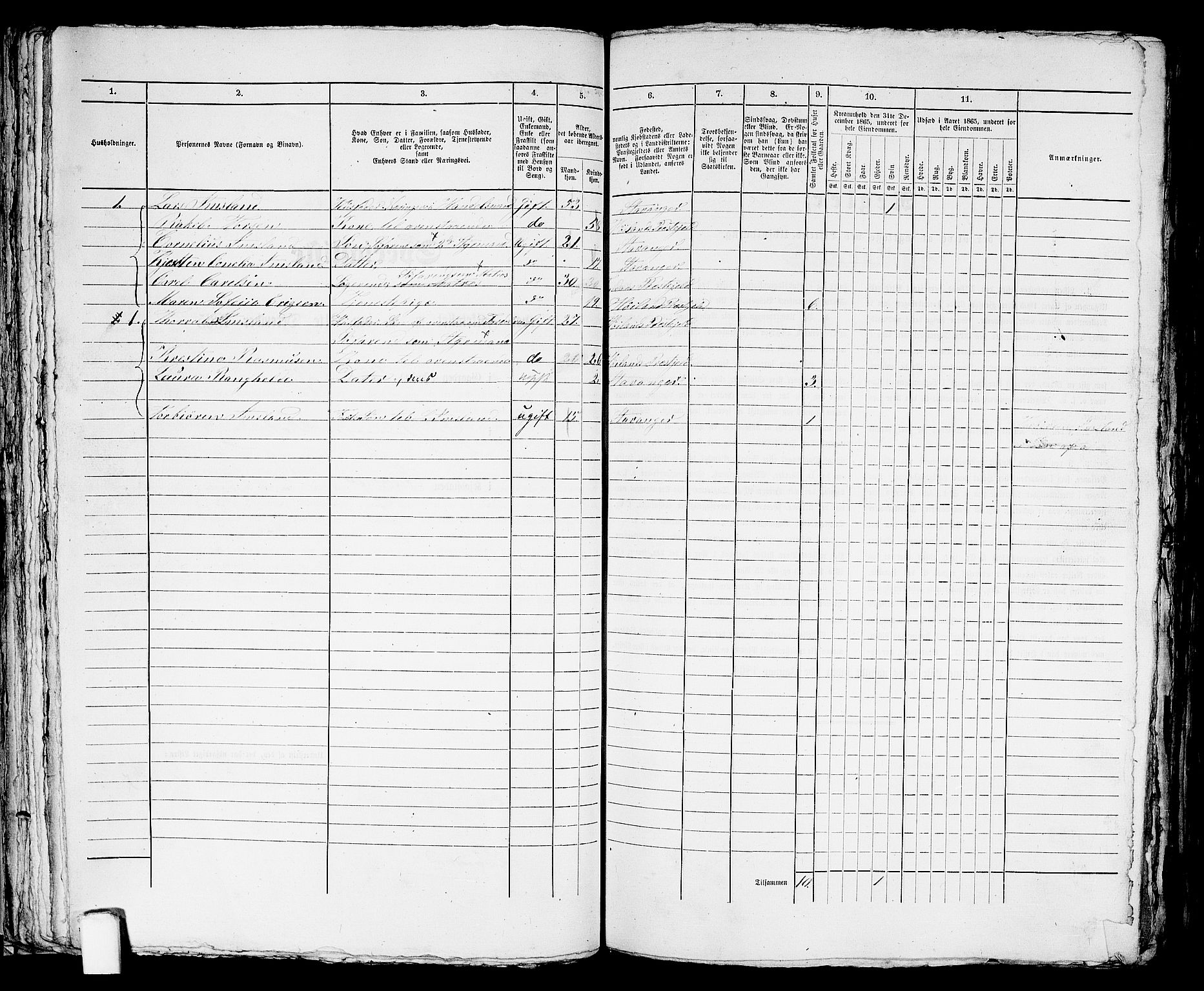RA, 1865 census for Stavanger, 1865, p. 1602