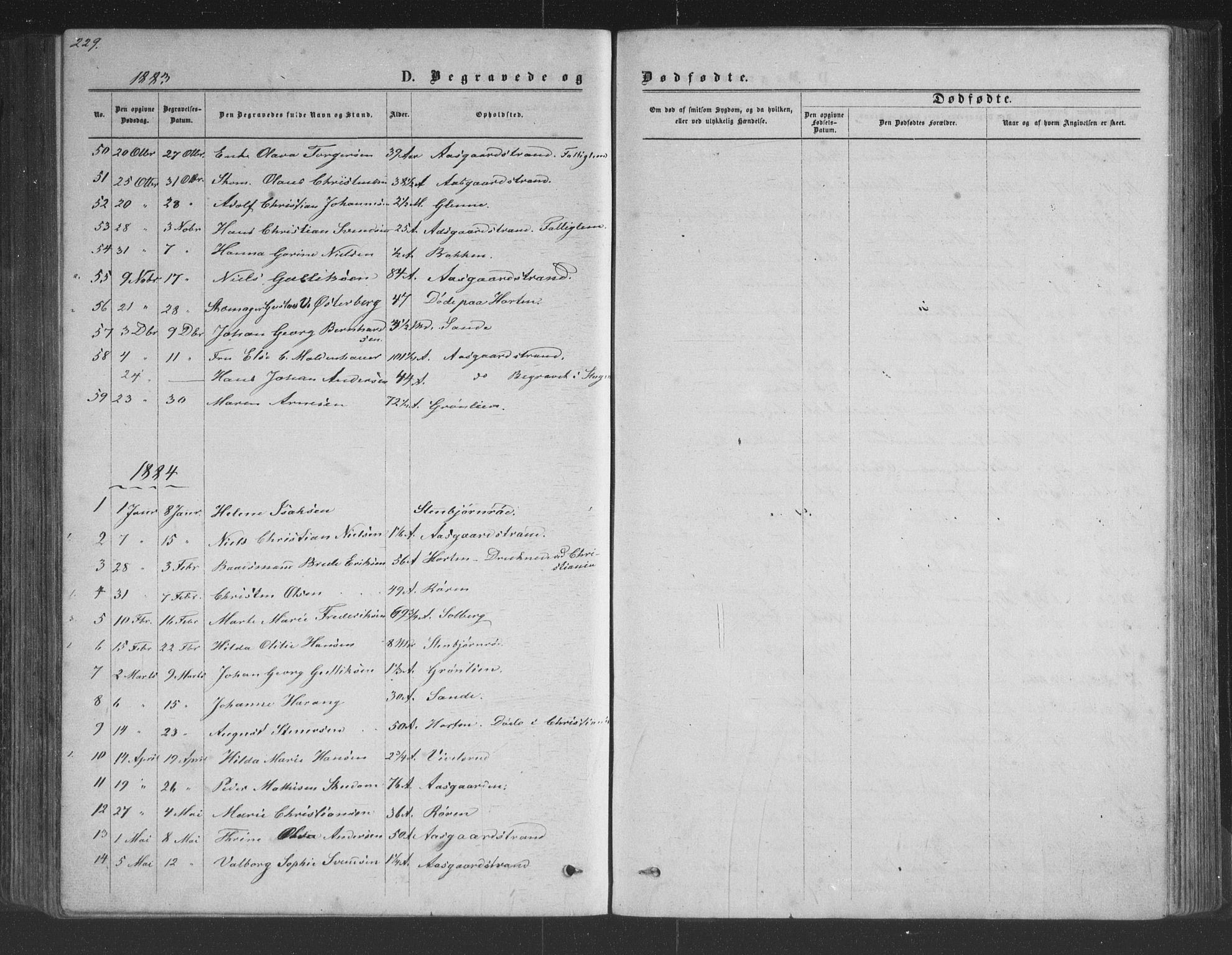 Borre kirkebøker, AV/SAKO-A-338/G/Ga/L0003: Parish register (copy) no. I 3, 1871-1892, p. 229