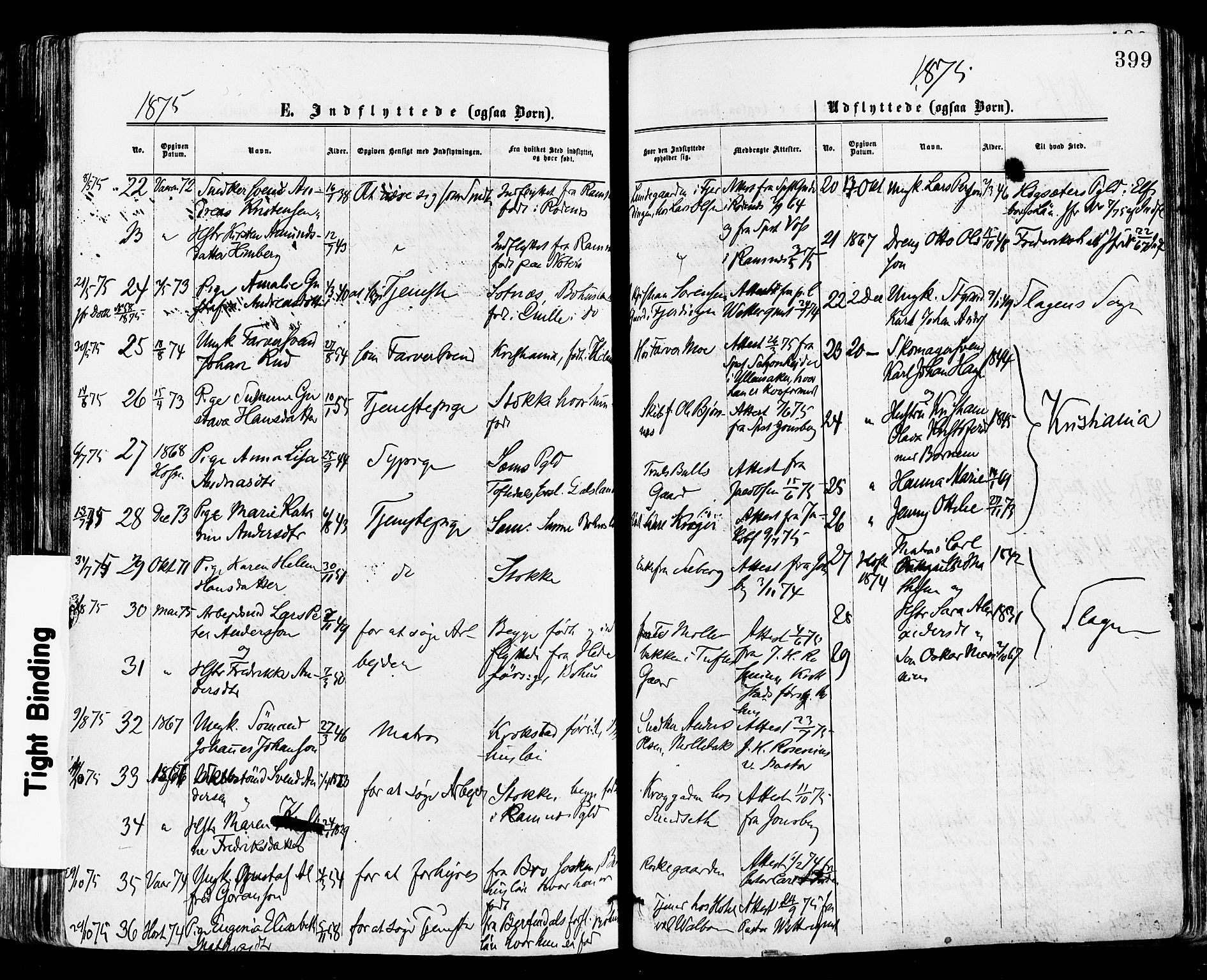 Tønsberg kirkebøker, AV/SAKO-A-330/F/Fa/L0010: Parish register (official) no. I 10, 1874-1880, p. 399