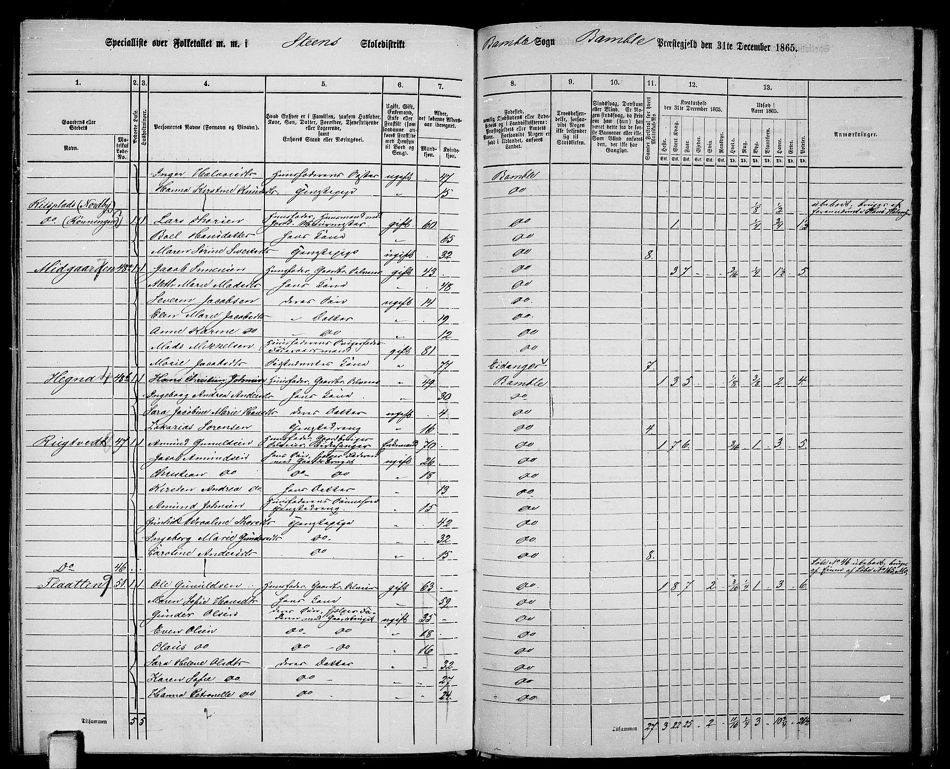 RA, 1865 census for Bamble, 1865, p. 176