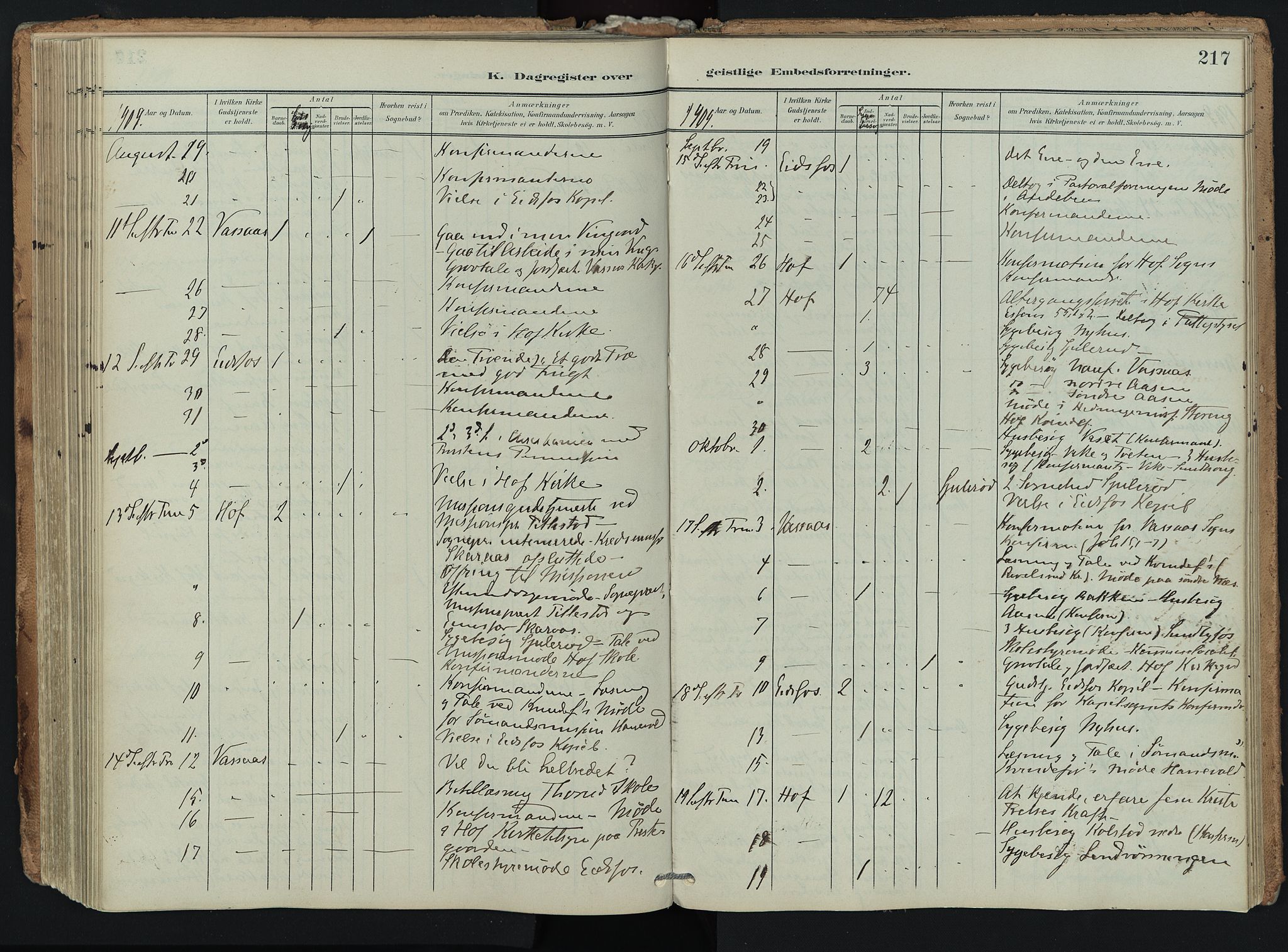 Hof kirkebøker, AV/SAKO-A-64/F/Fa/L0008: Parish register (official) no. I 8, 1902-1921, p. 217